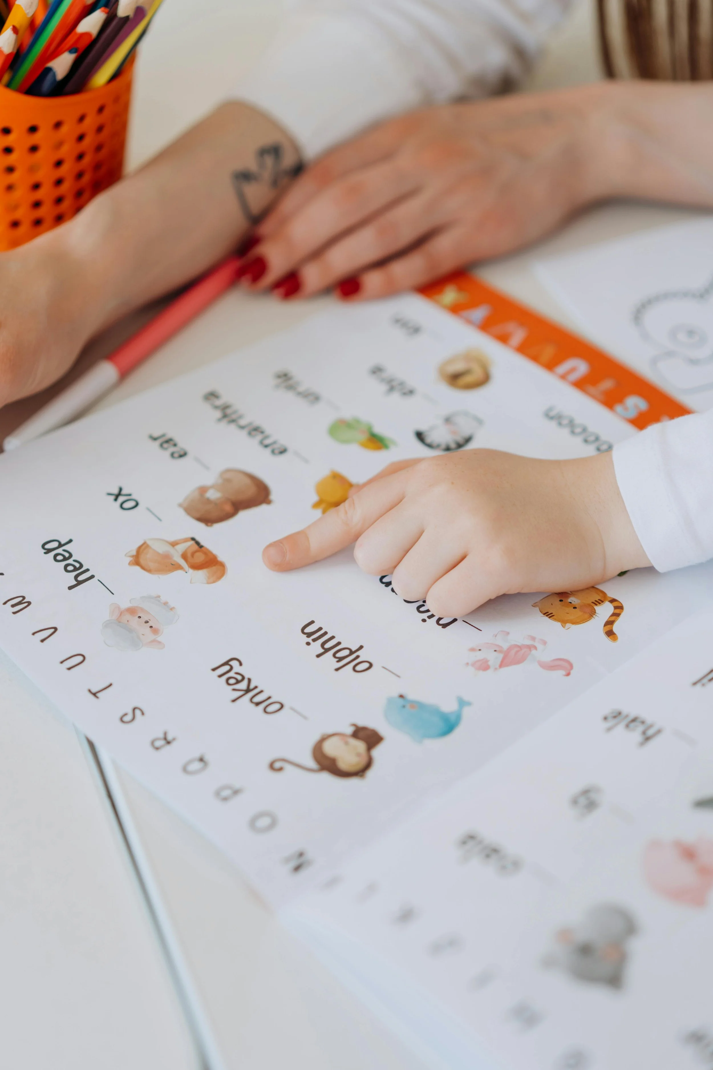 reading an educational book