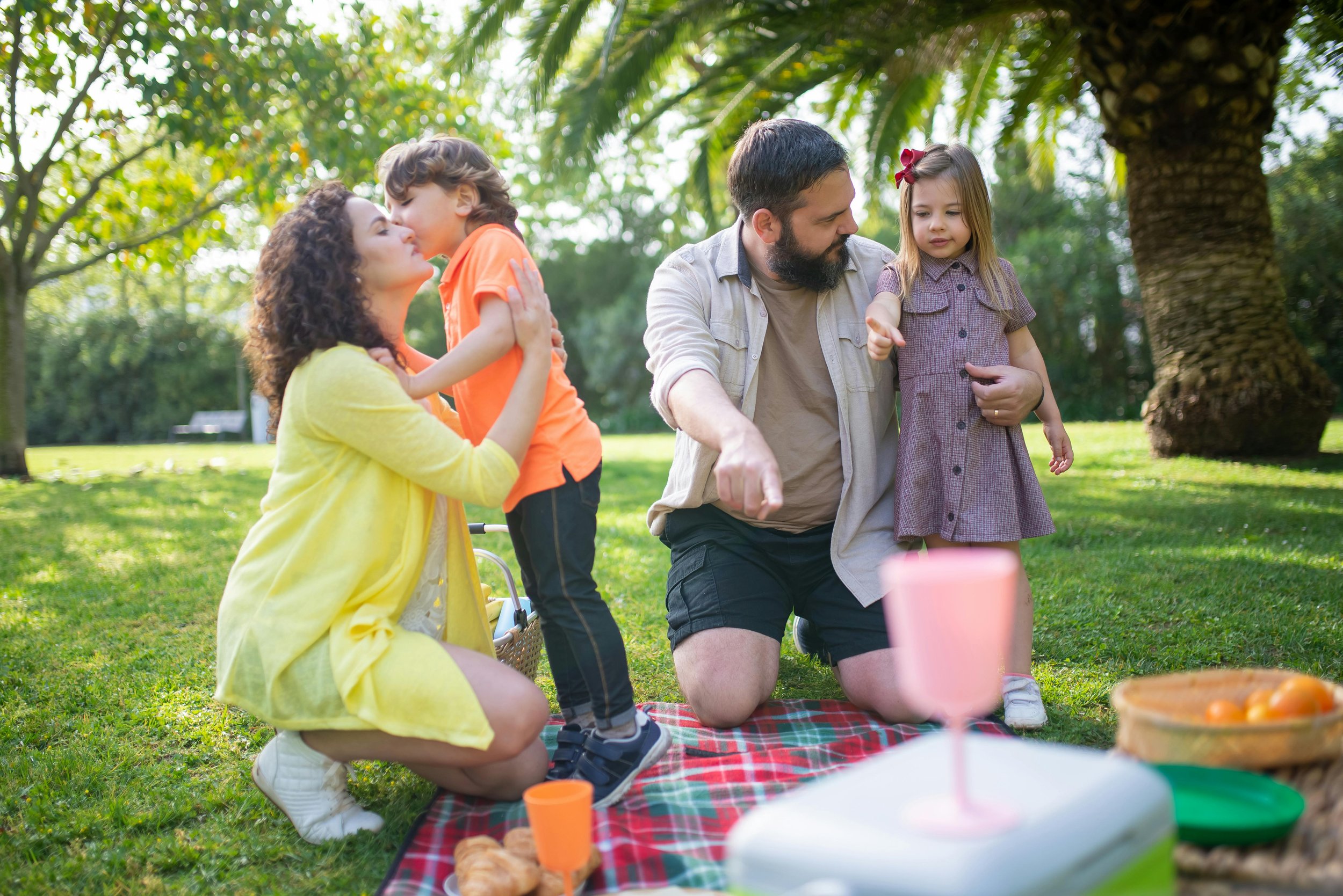 family on a picnic