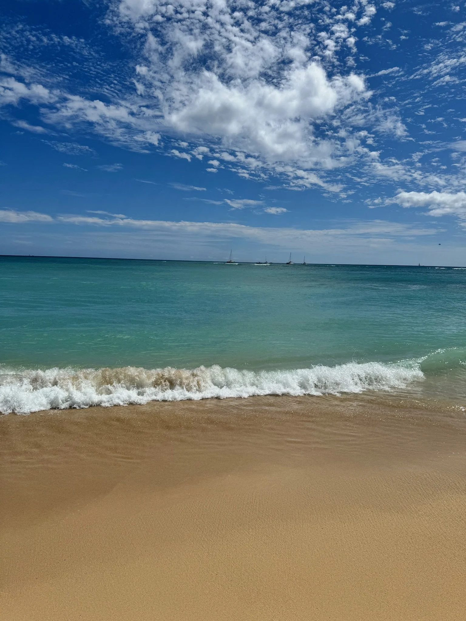 IMG_7575.jpeg