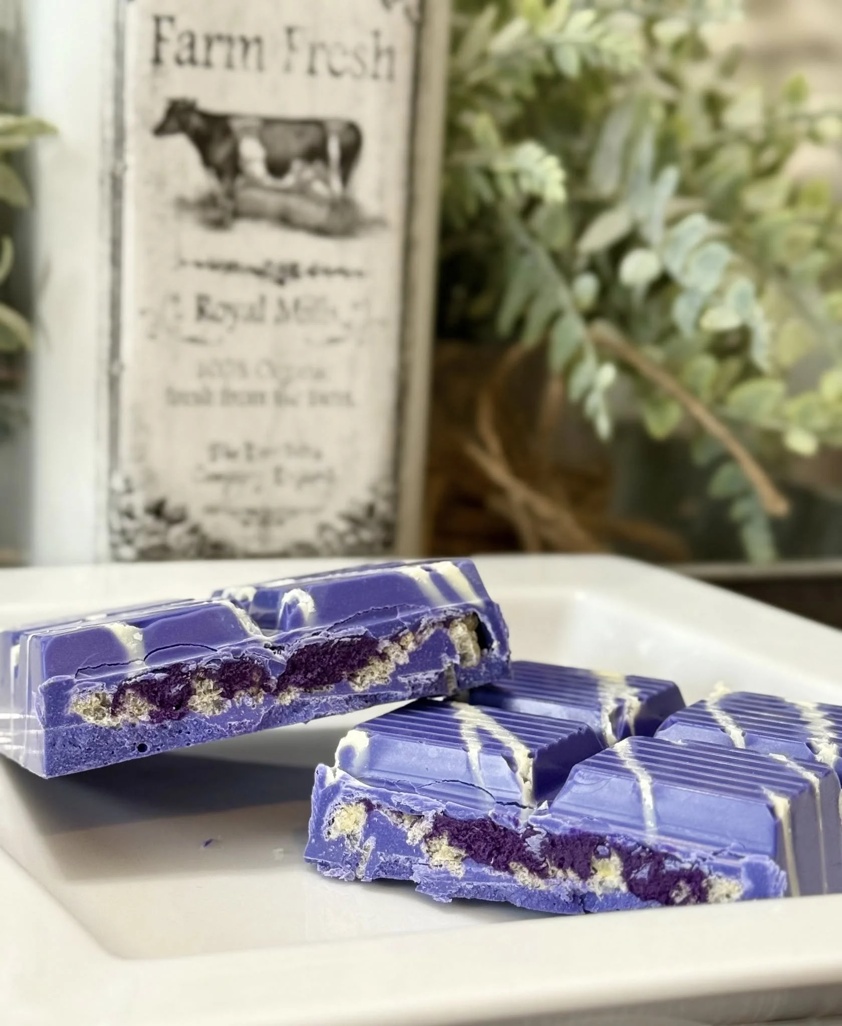 Exclusively Made By Mr.Bon Bon