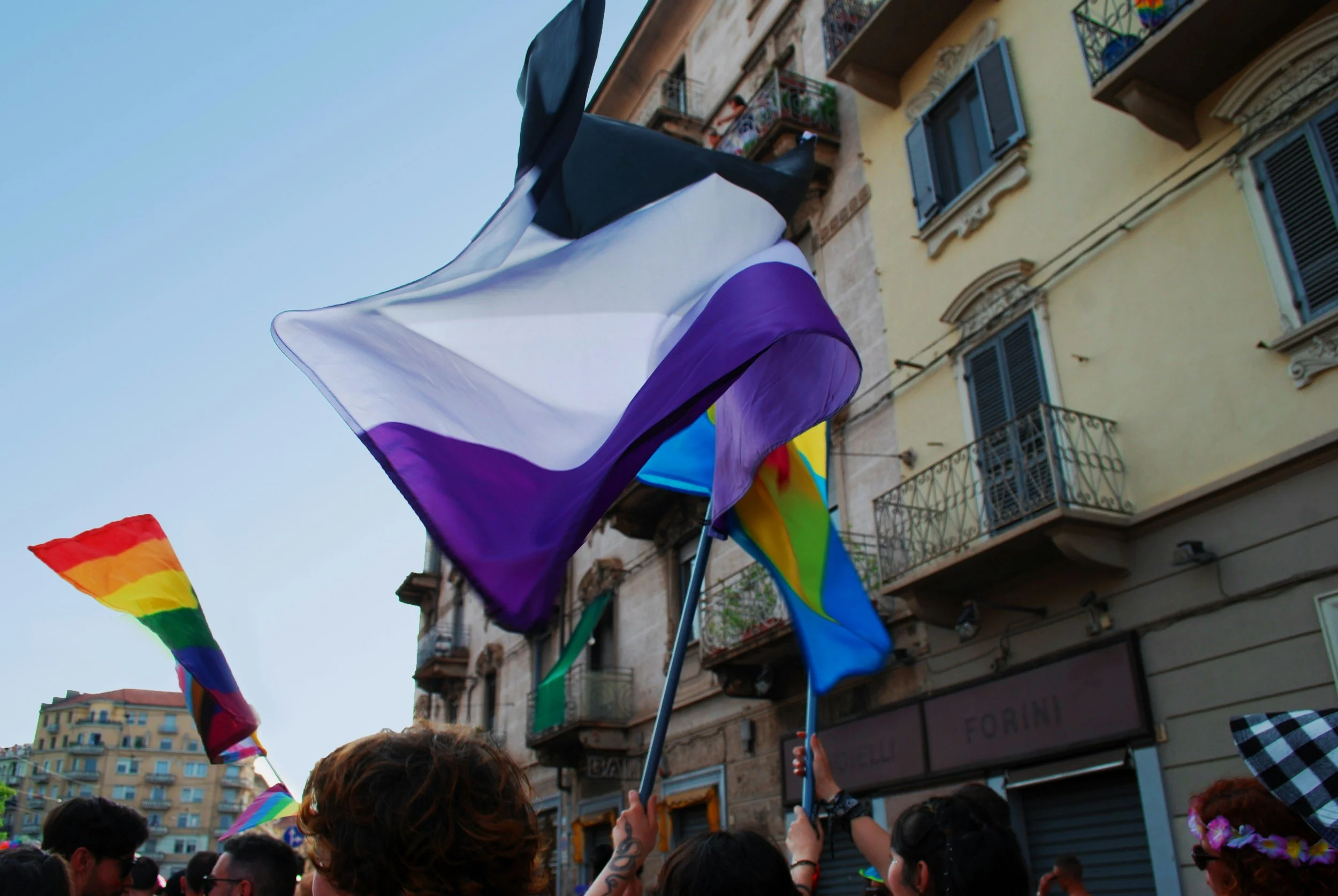 What Do Asexuals Celebrate When They Celebrate Pride?