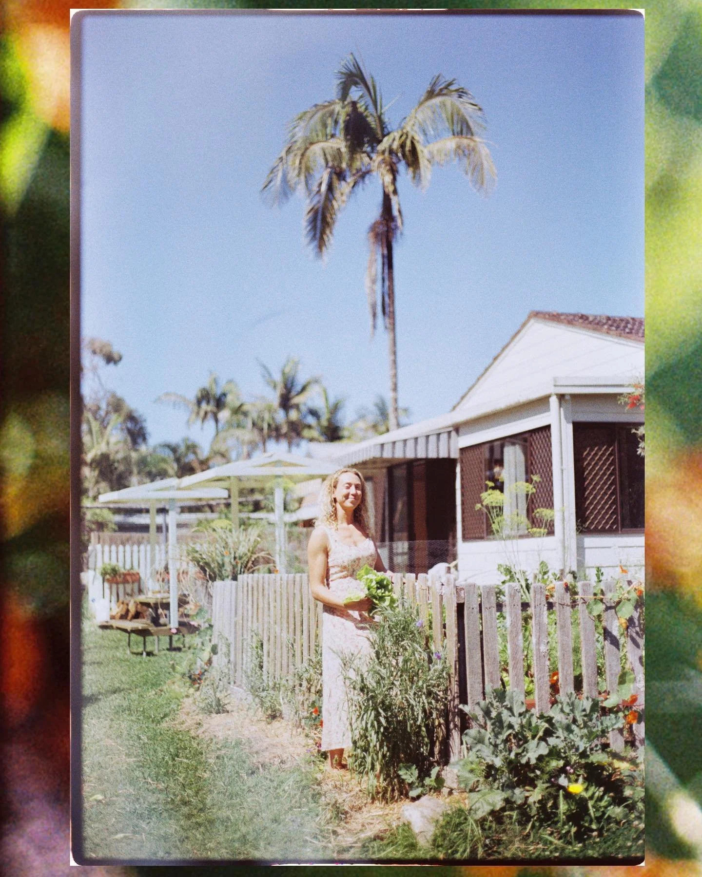 A morning in the veg patch with @_thesurfingnutritionist 🍓✨ #35mm