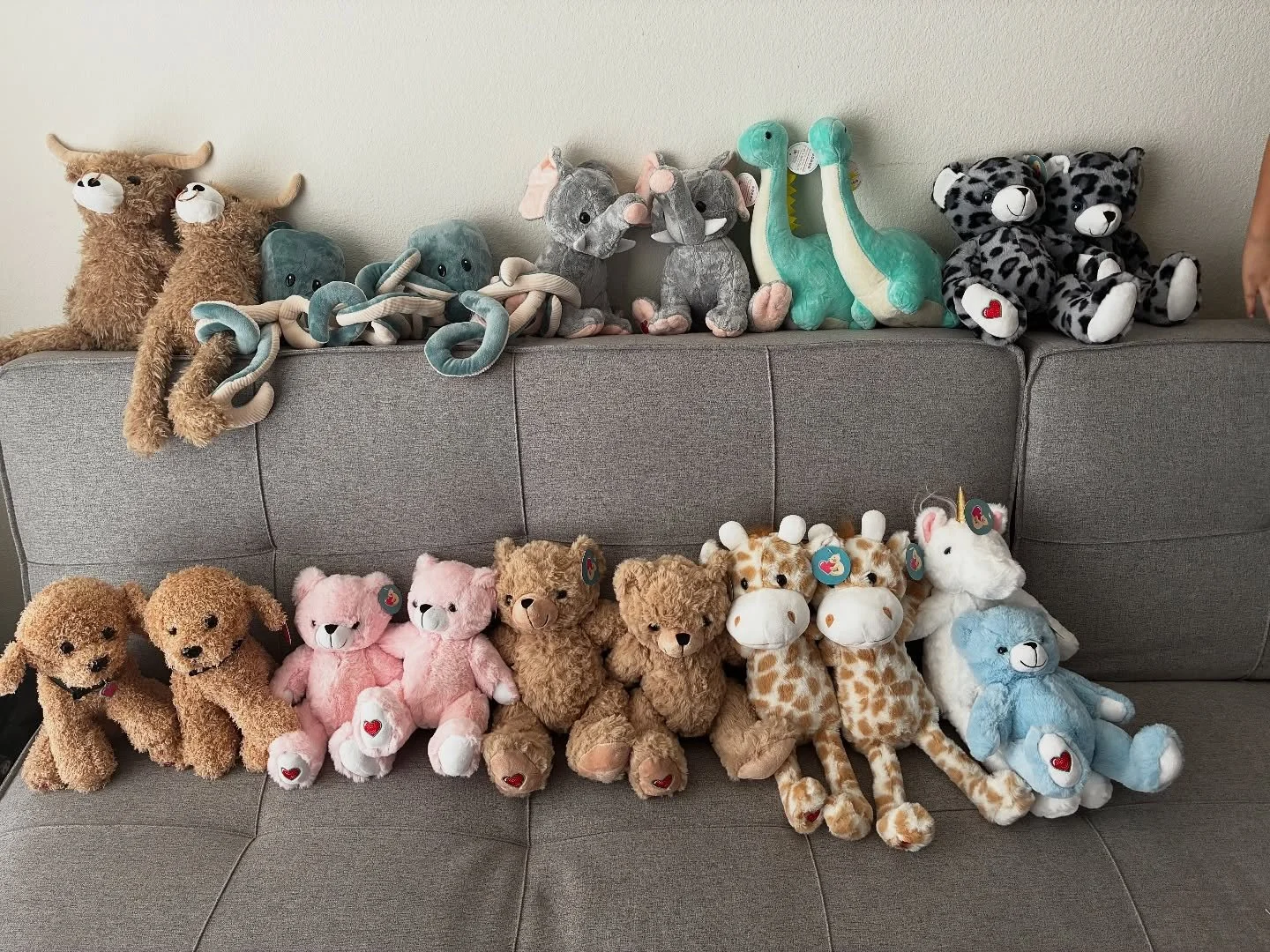 Keep your baby&rsquo;s heartbeat forever in one of our heartbeat animals! They&rsquo;re so cute and soft.