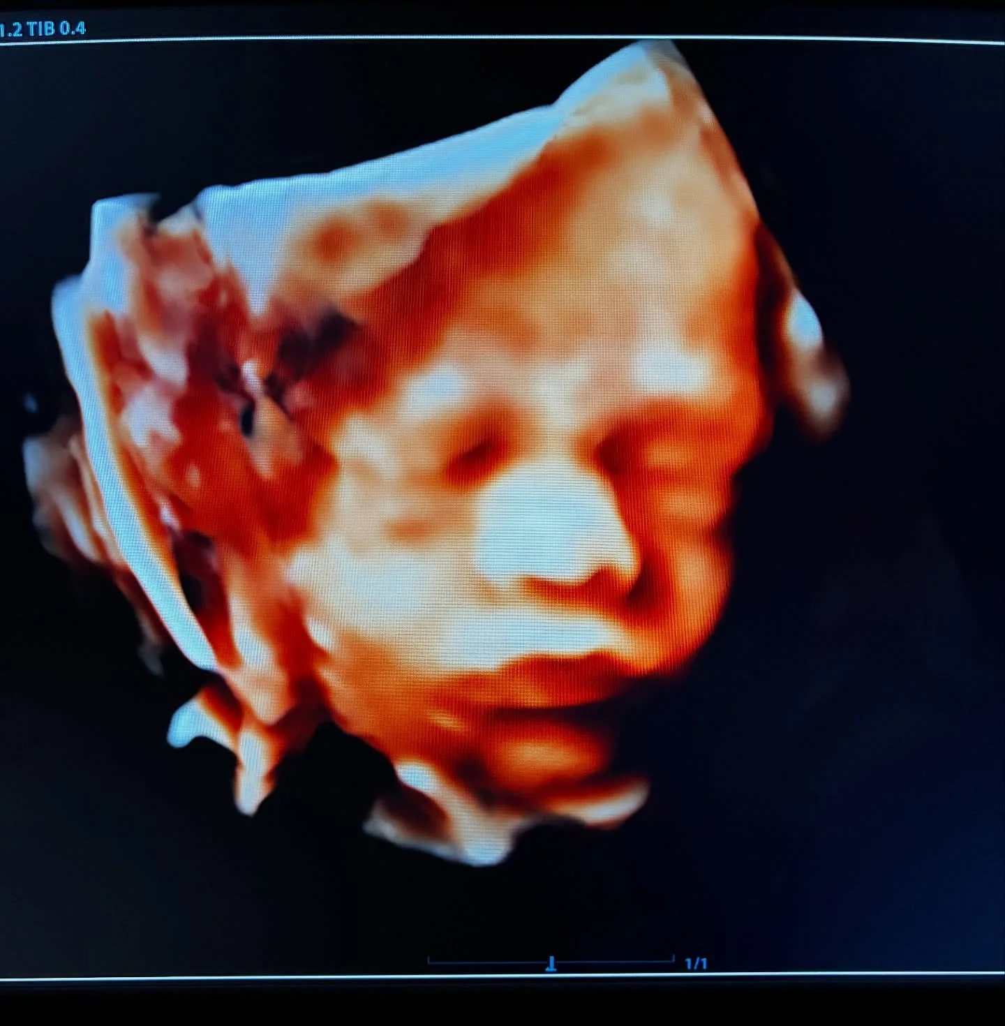 Loved this cutie&rsquo;s session today!