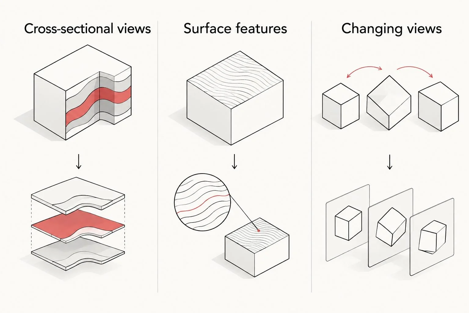 Comparison of cross-sectional ultrasound views, surface features, and changing views