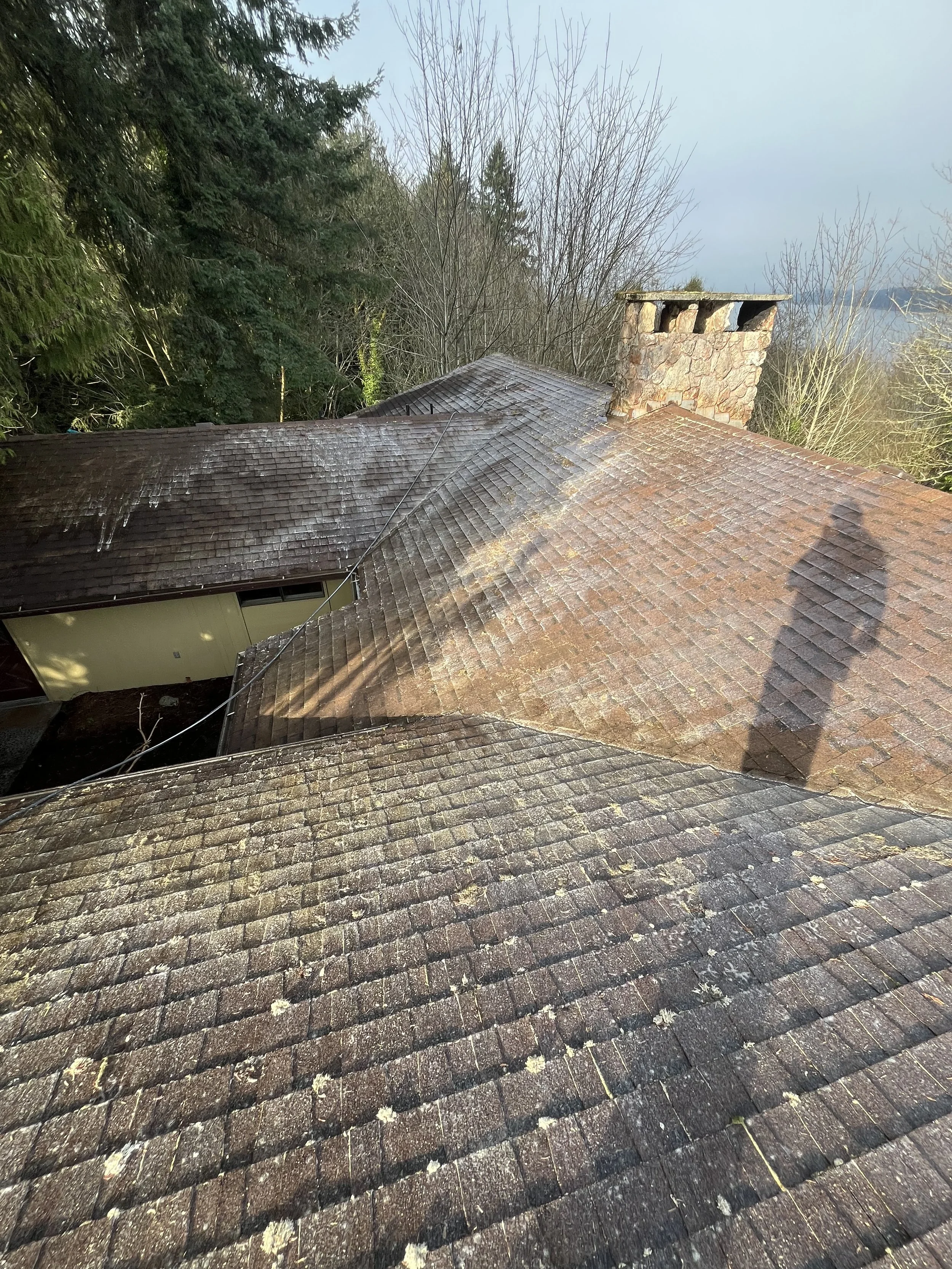 View of a roof with brown shingles, some moss and bird droppings, and a stone chimney surrounded by leafless trees and evergreen trees on the left. The sky is cloudy or foggy in the background.