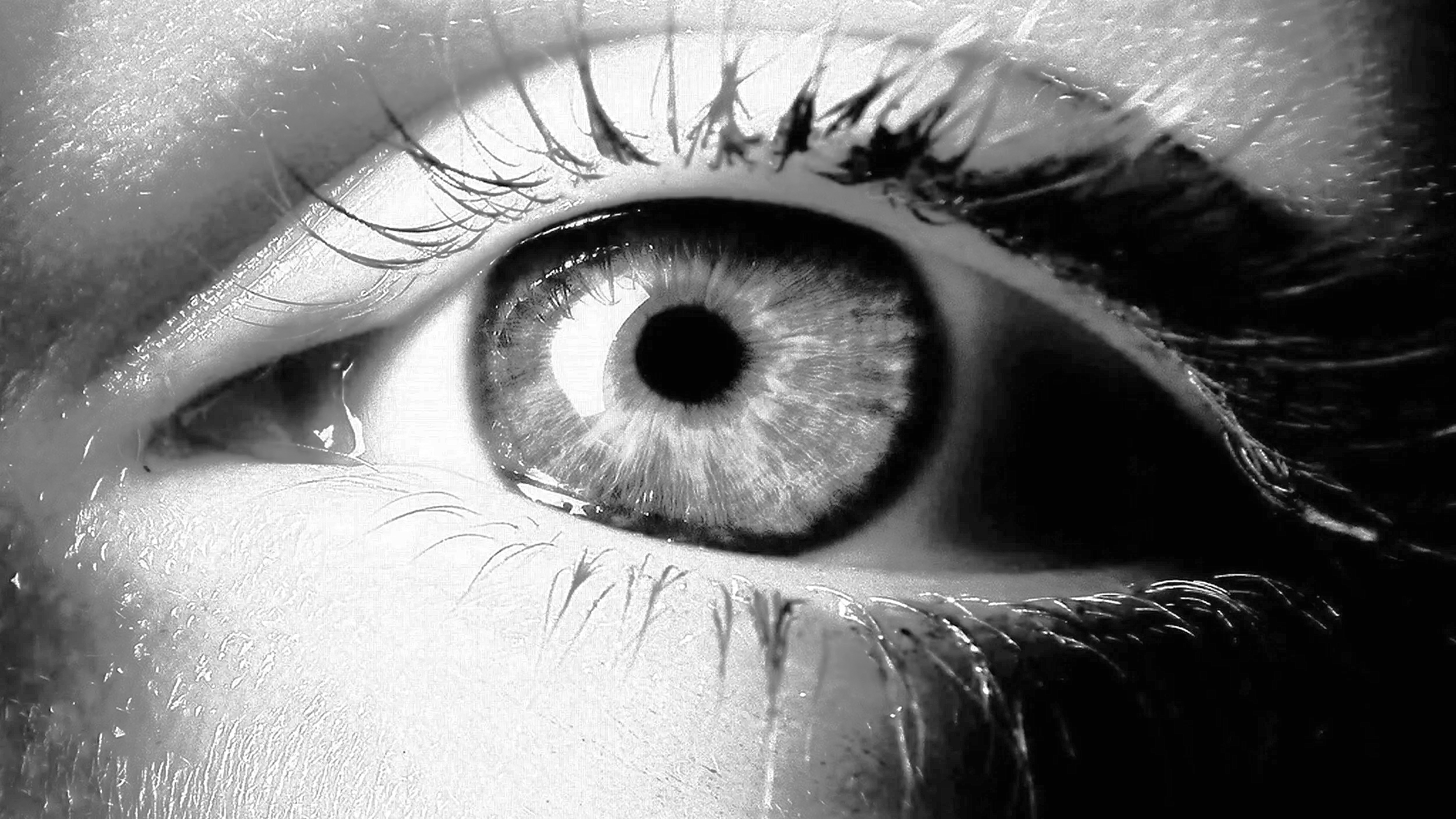 Future EMDR: Using EMDR to Reduce Anxiety and Prepare for Stress