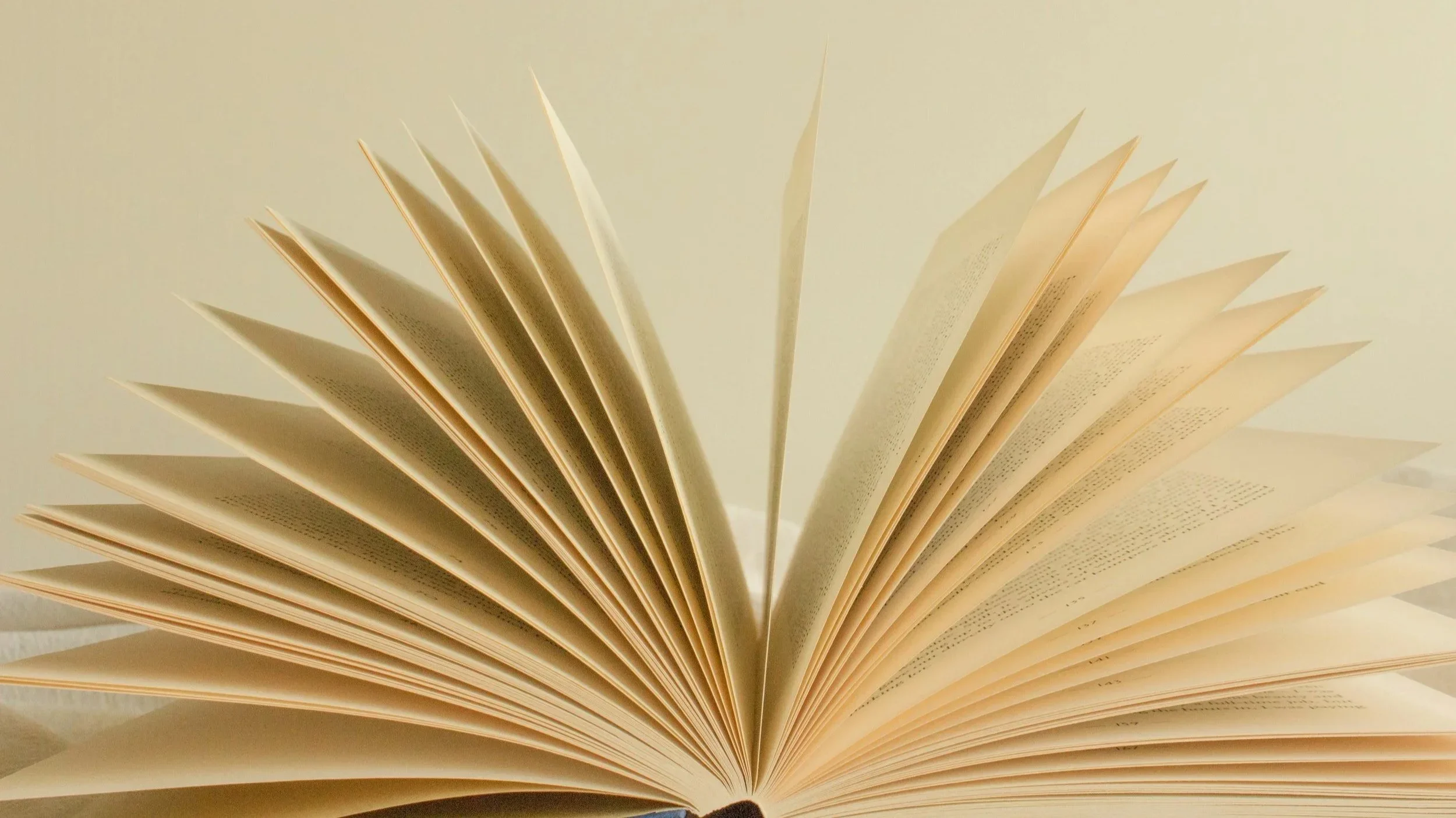 Books That Can Help You Identify, Leave, and Heal from a Narcissistic Romantic Partner