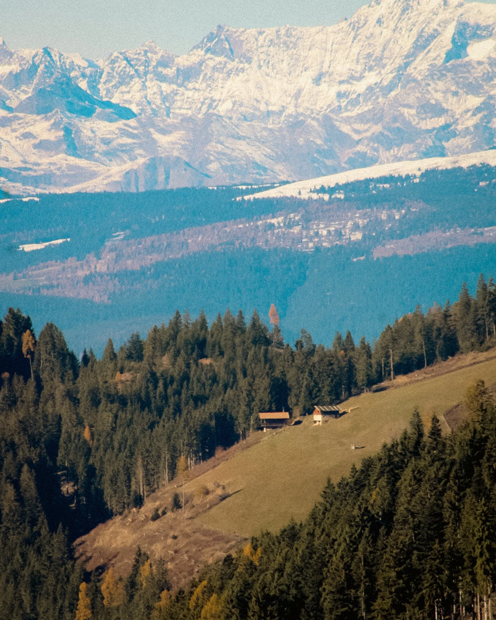 wildlife-35.jpg