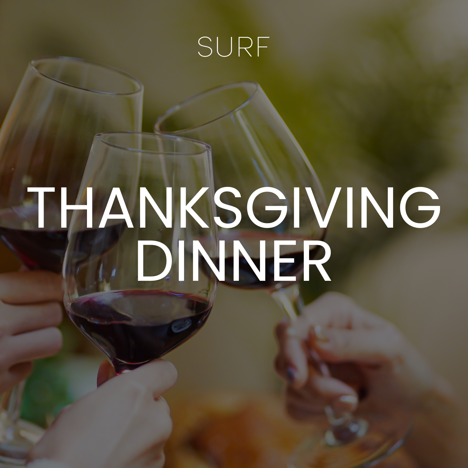 Thanksgiving Dinner 