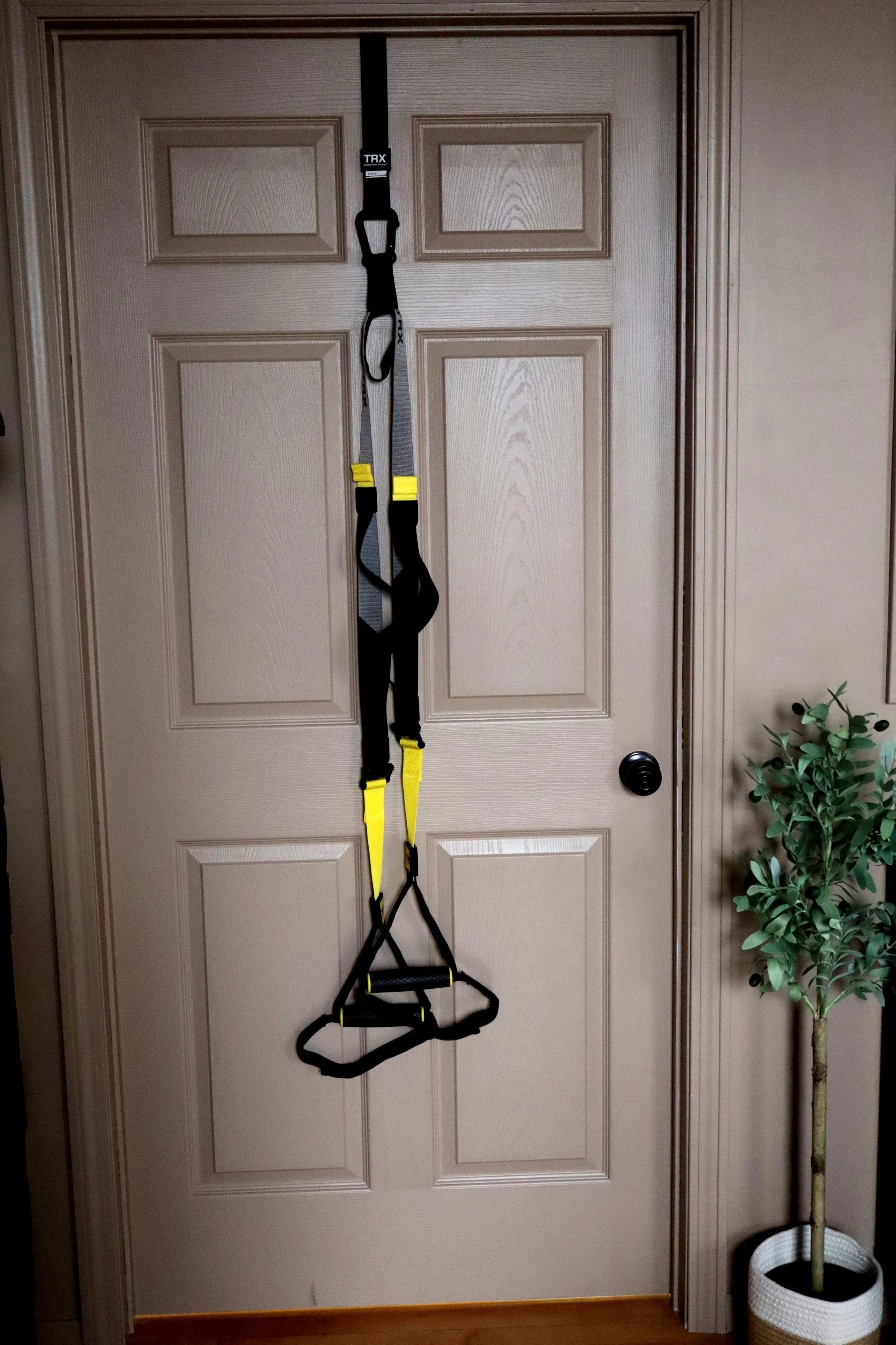 Door TRX