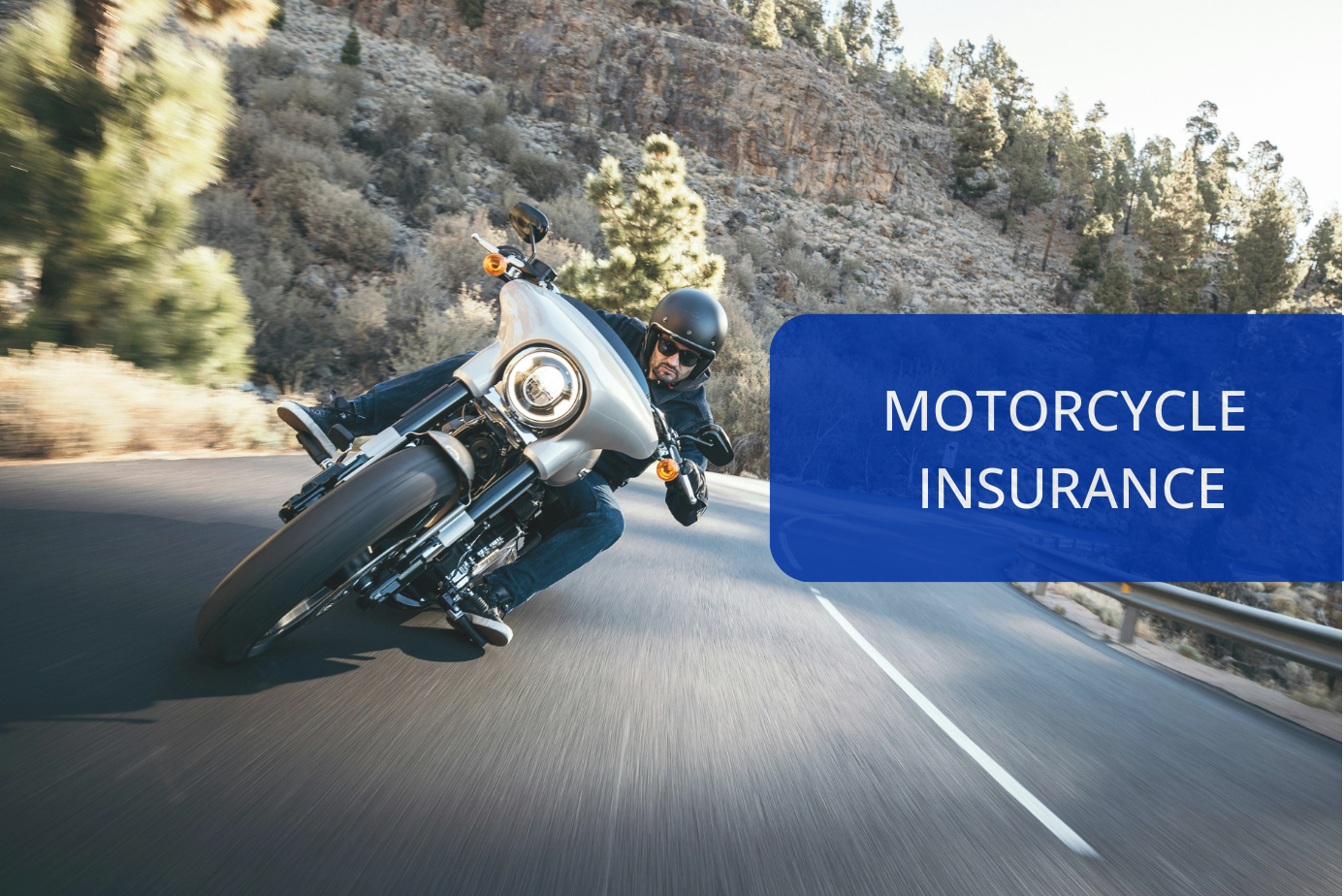 Springs Insurance | Insurance Coverage For Colorado