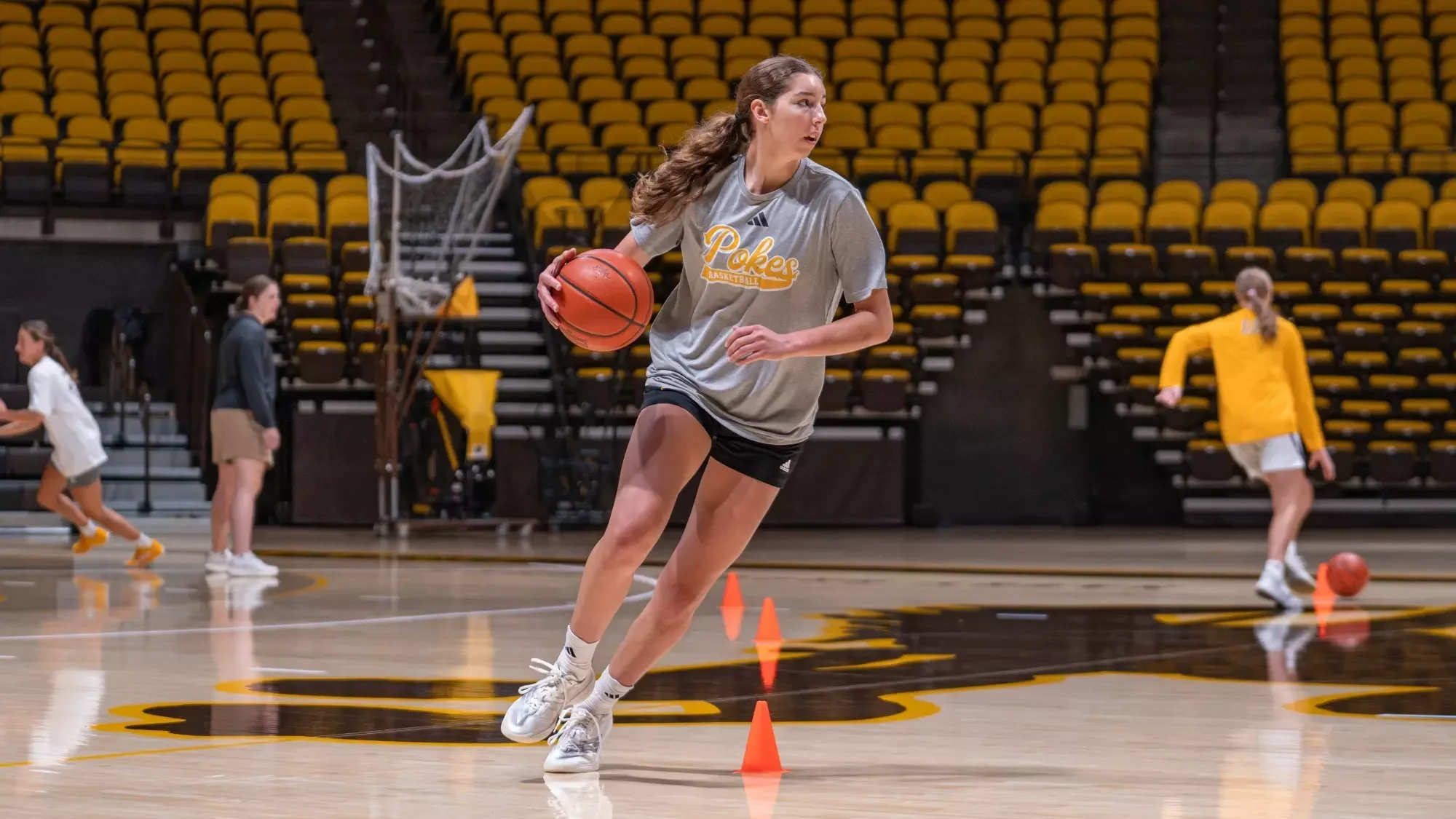 Hayley Johnson prepared to elevate game to D-I level