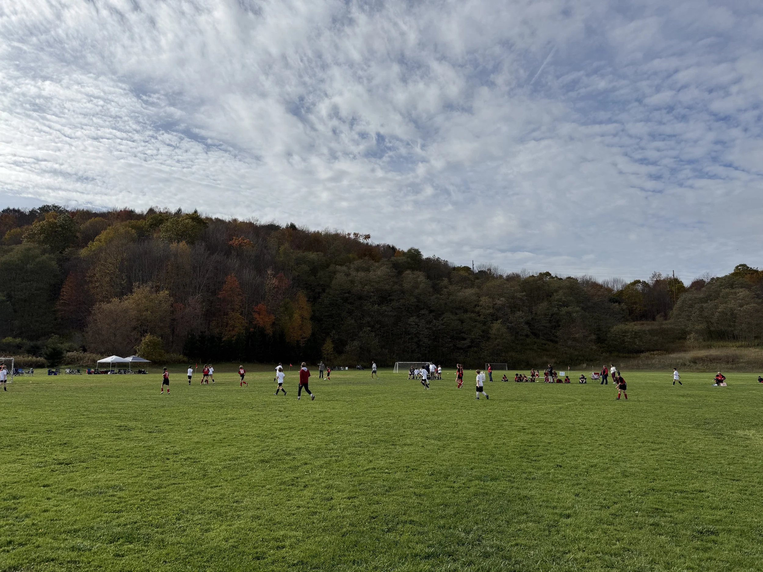People playing soccer on a grassy field with trees and a cloudy sky in the background.