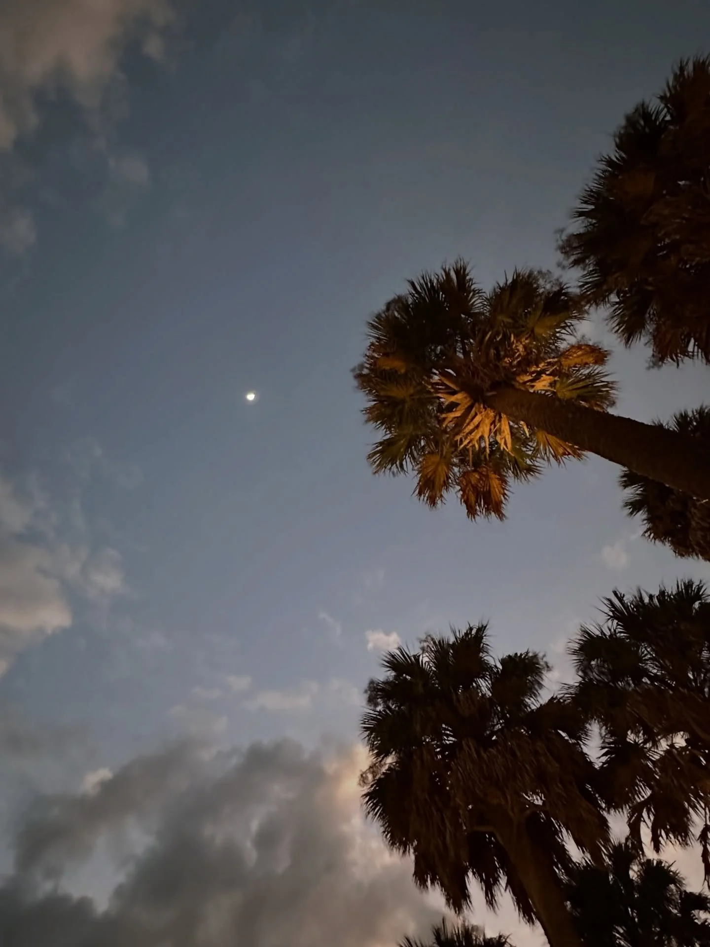 Buscando un screenshot en mi carrete me di cuenta de que casi no tom&eacute; fotos en diciembre.

Estuve enfocada en los proyectos en los que estaba trabajando y en planificar c&oacute;mo quiero materializar todo lo que est&aacute; queriendo nacer.

