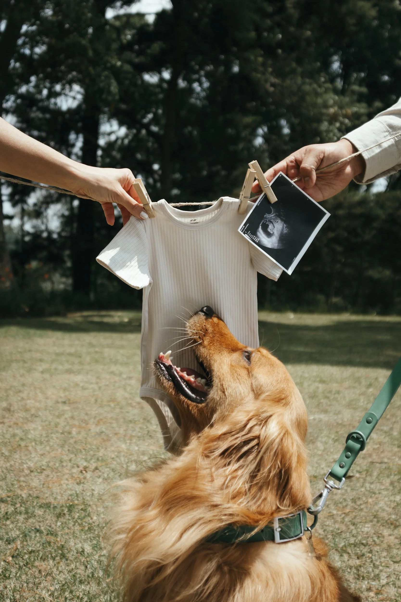 lucia y josue pregnancy -15.jpg