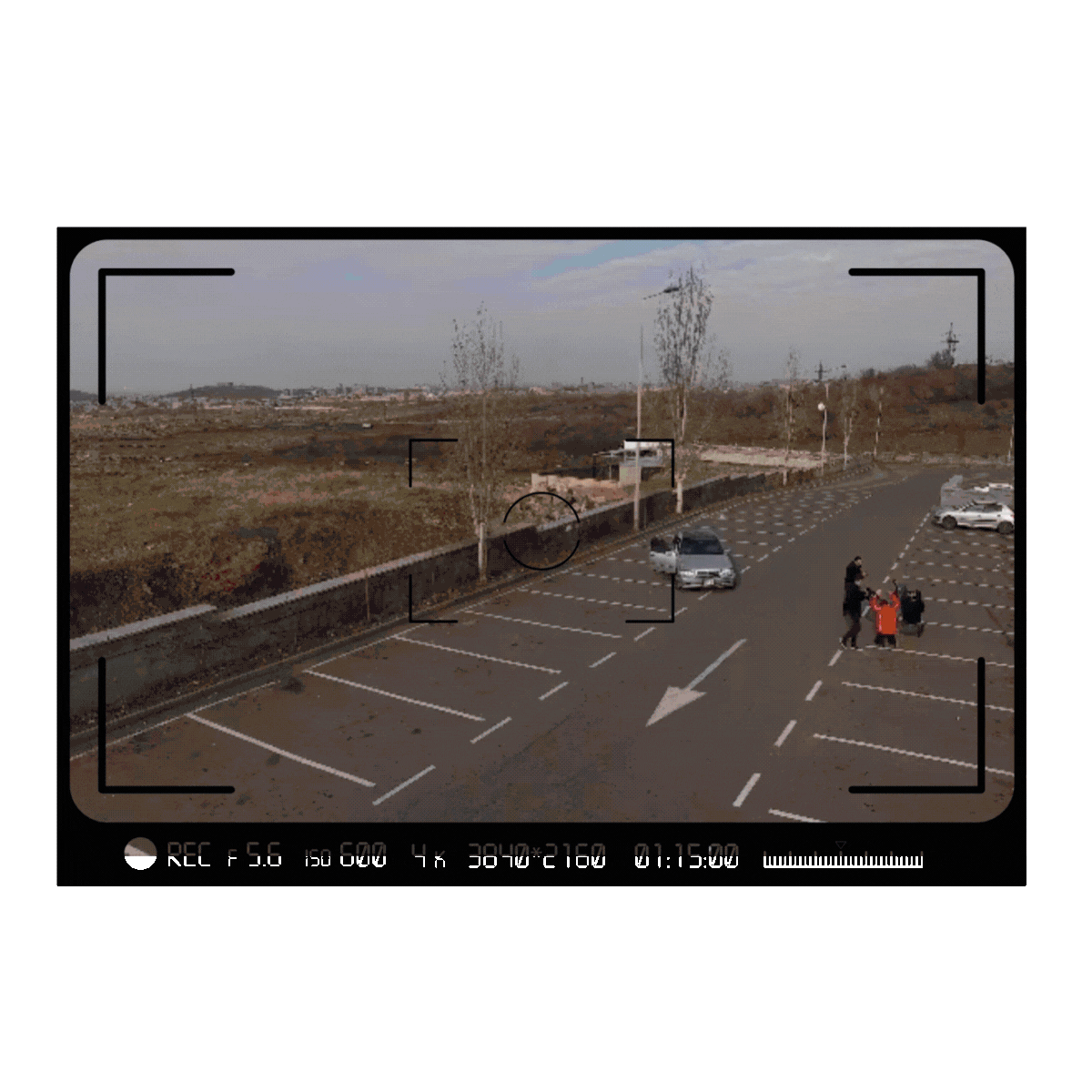SP Web Assets.gif