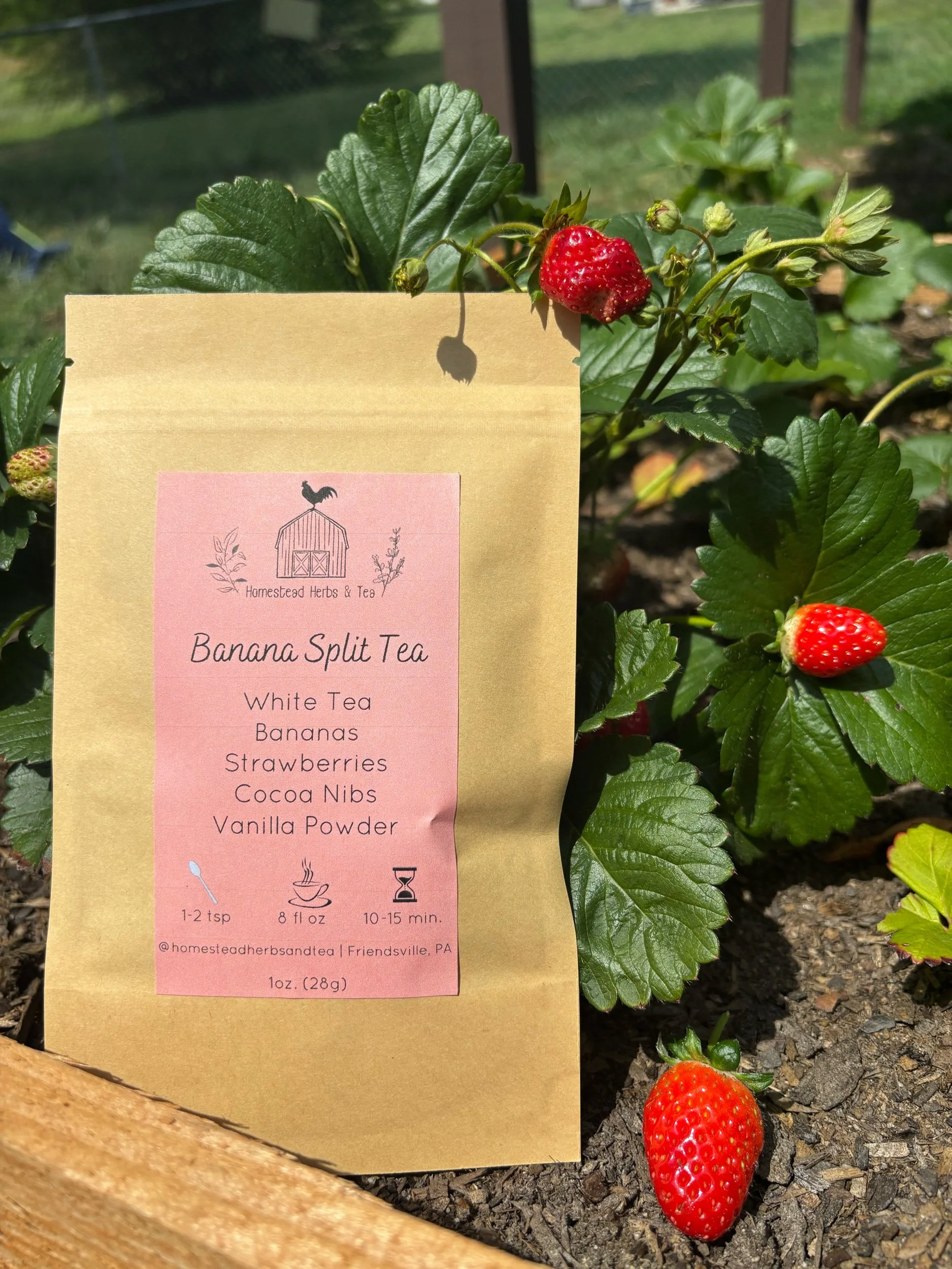 Homemade Banana split loose leaf tea tastes just like the real thing! Strawberry and Banana flavor with hints of chocolate from the cocoa nibs and vanilla from the vanilla powder. So yummy and sweet!