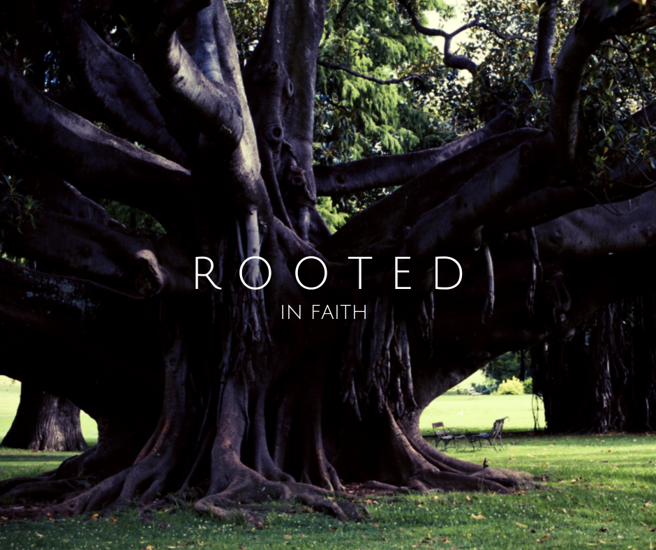 Rooted. 