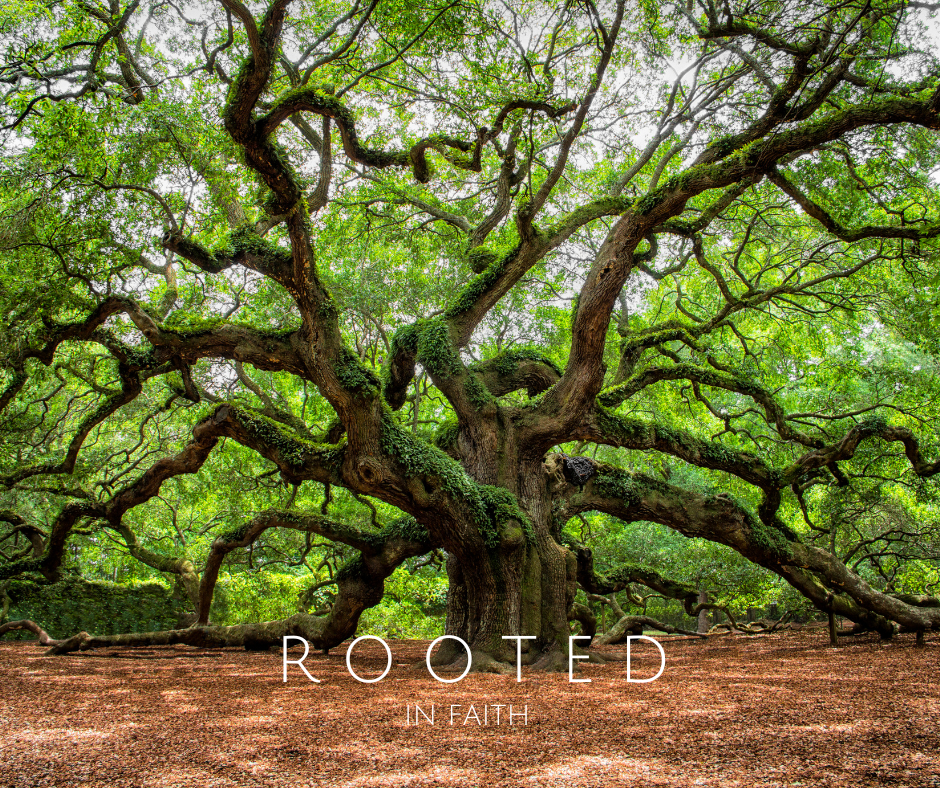 Believing &amp;/or Following?