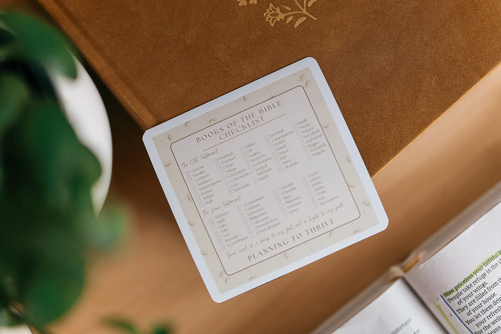 Dandelion Books of the Bible Magnet Check-List