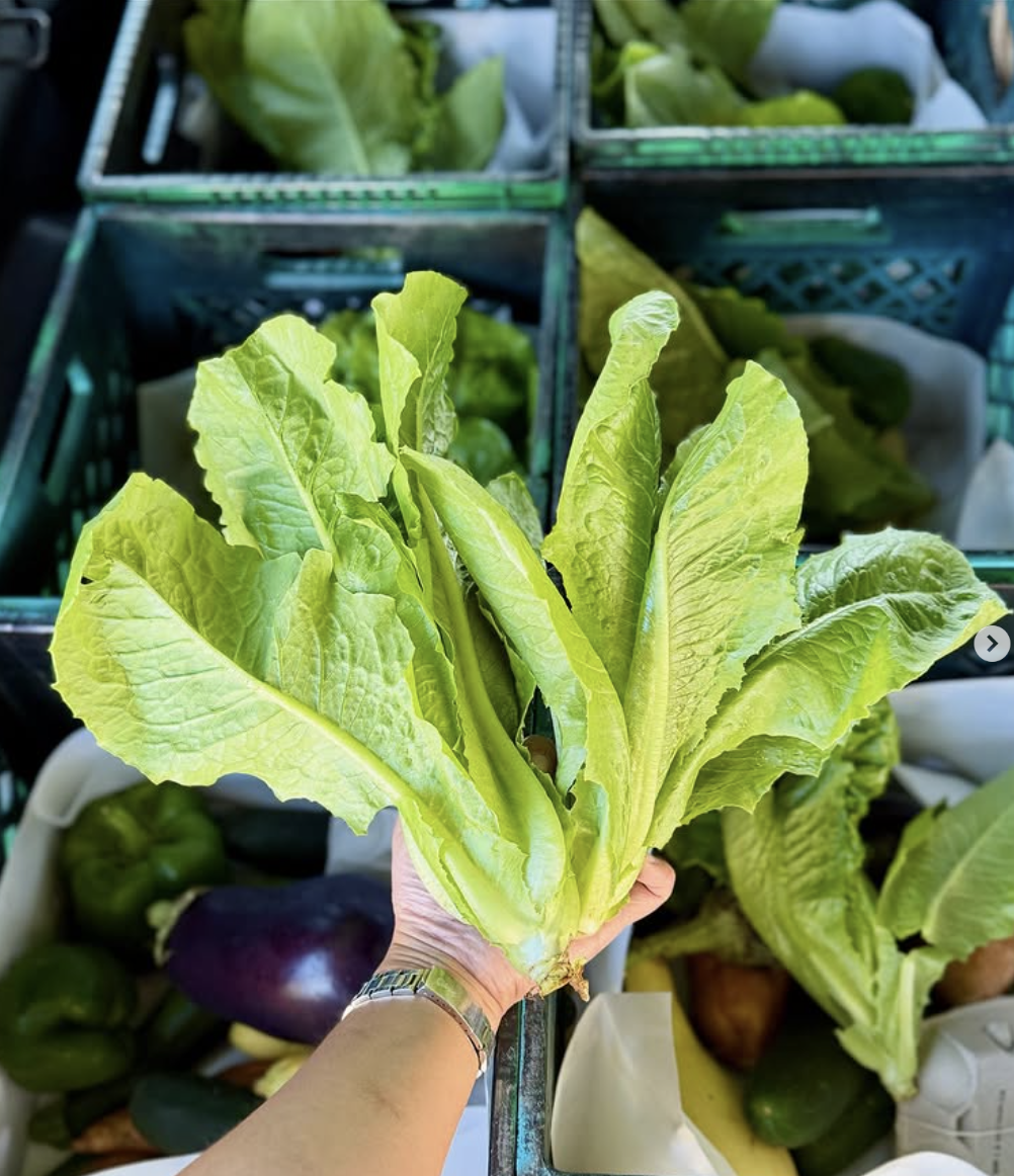 Screenshot 2026-02-06 at 7.06.29 PM.png