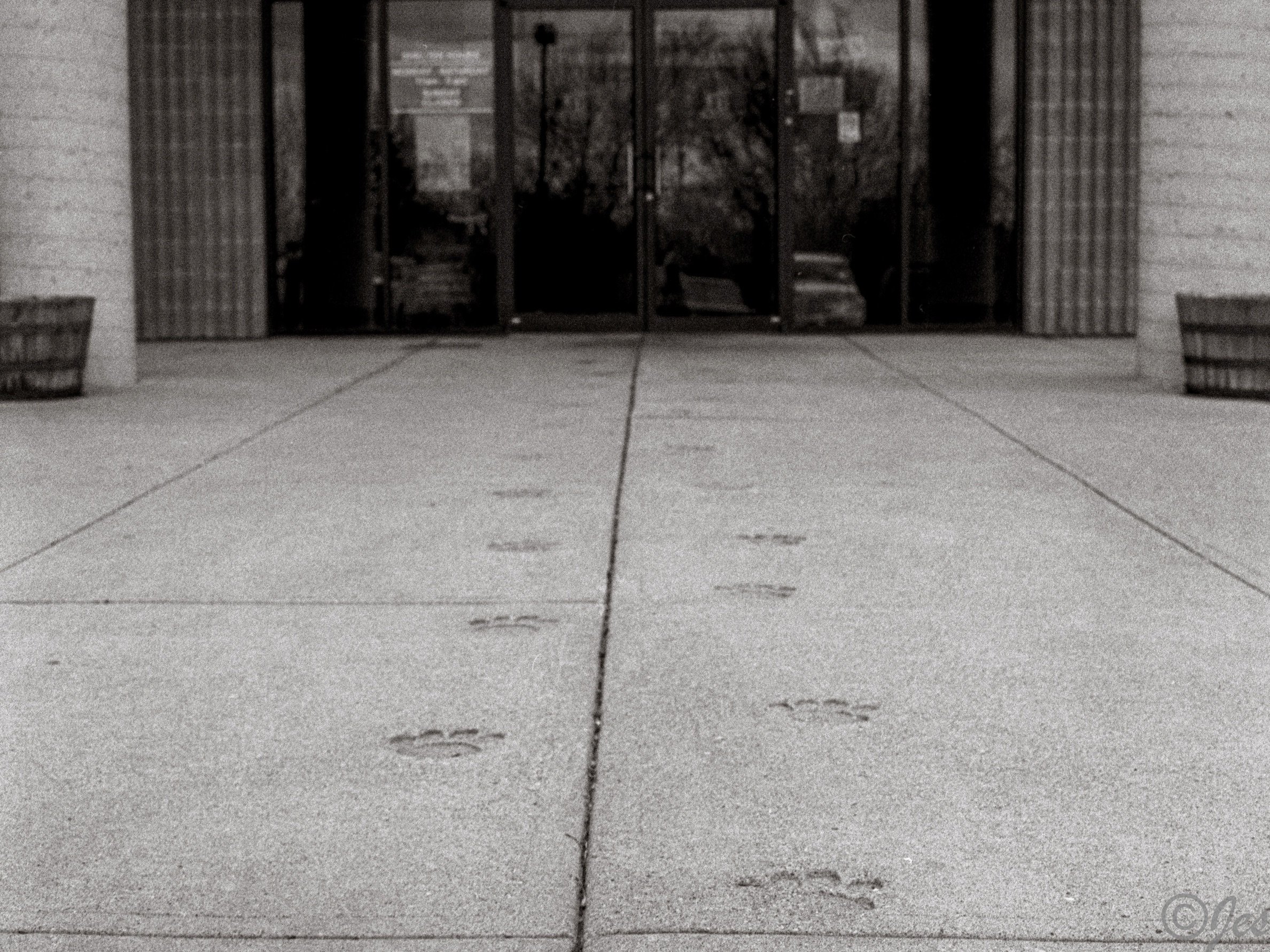 bw edited 09.jpg
