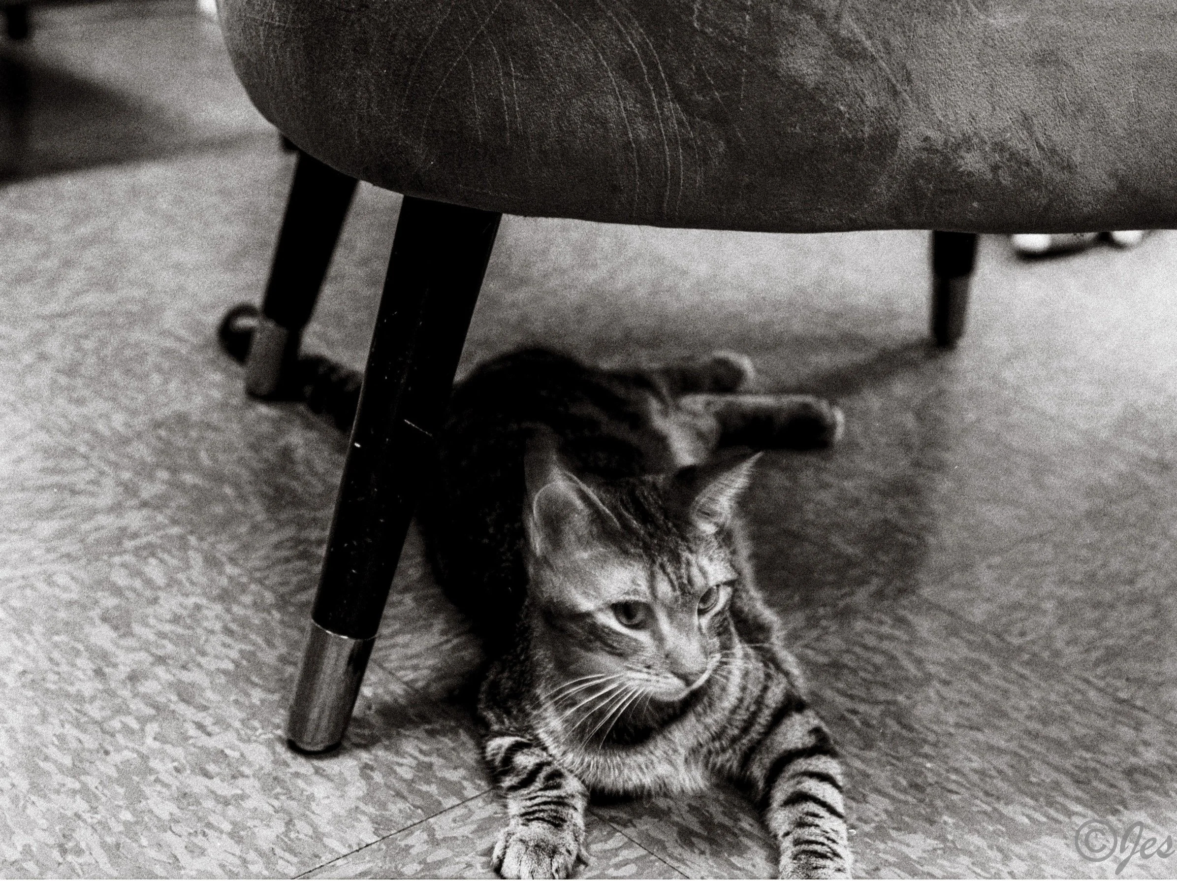 bw edited 19.jpg
