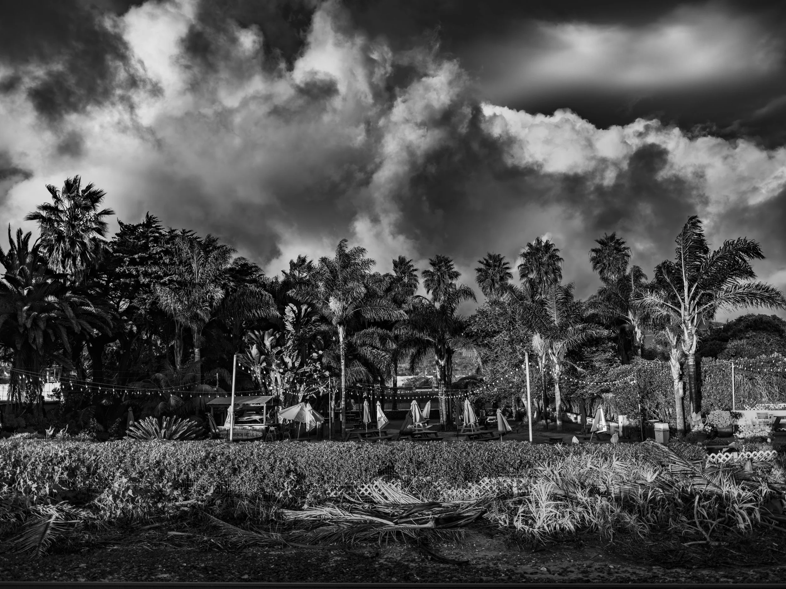 "Padero" Carpinteria