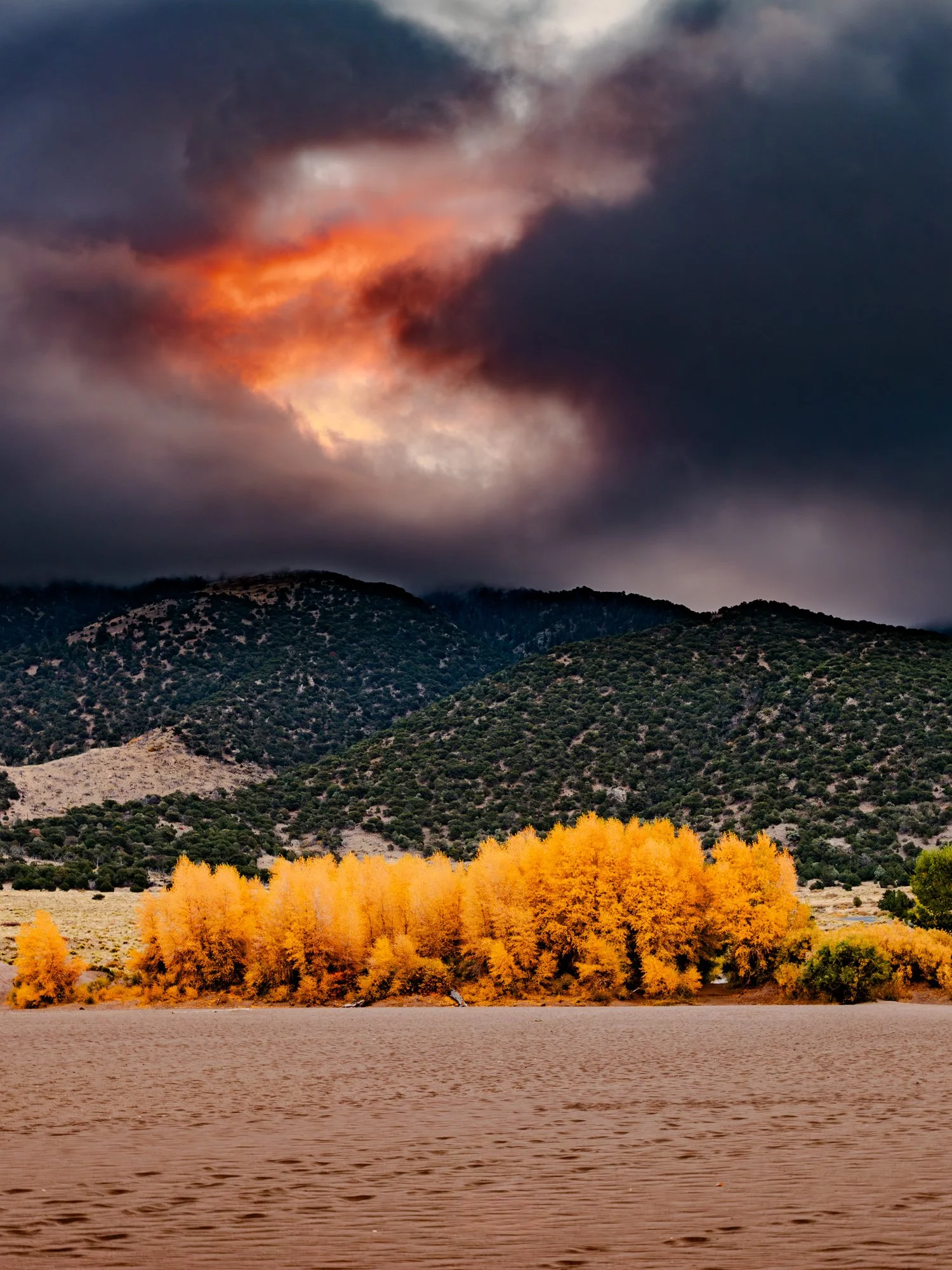 Golden Desert  (Limited 4)
22.5” x 30” $2200