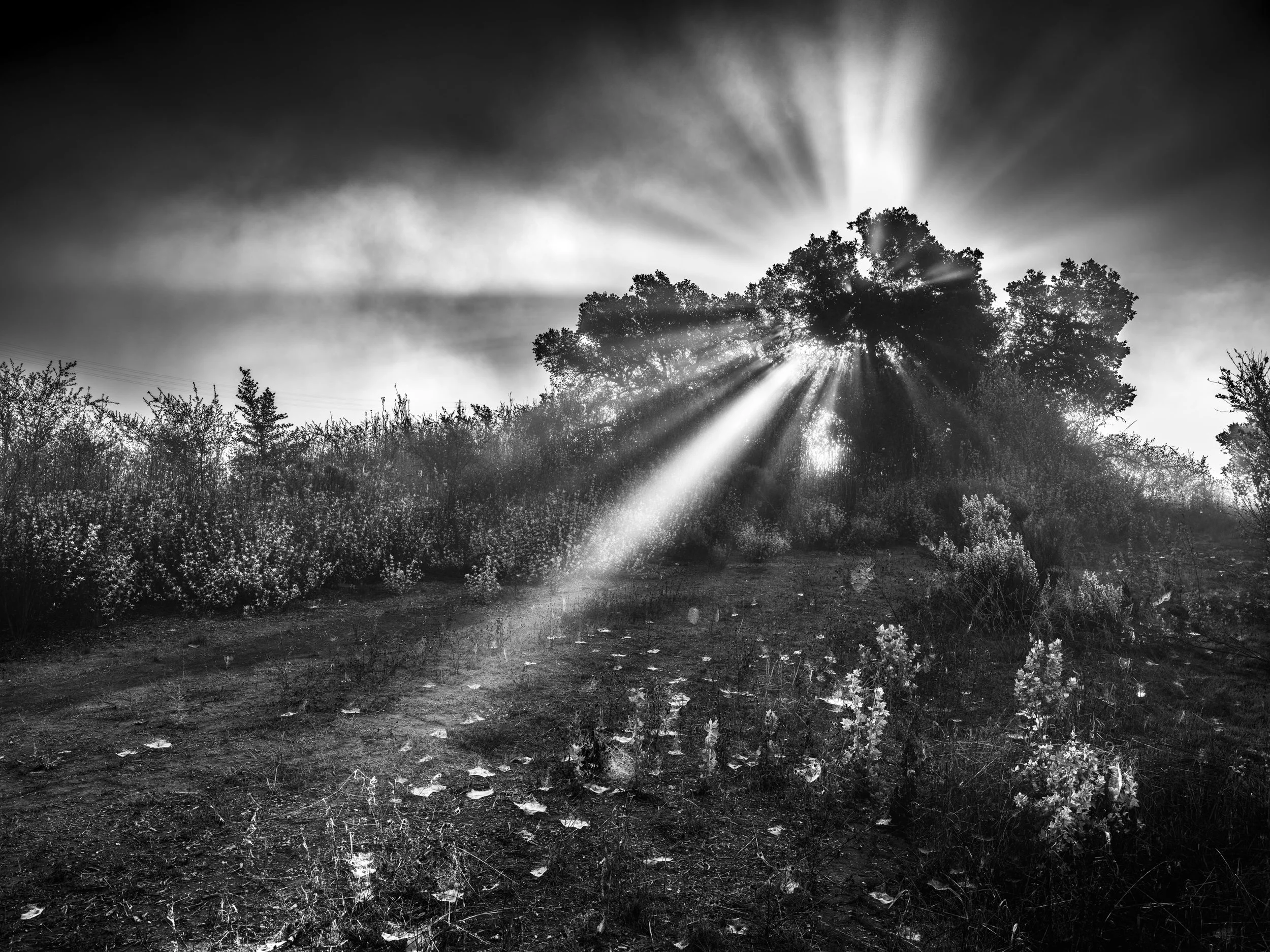 "Glory" Franklin Trail