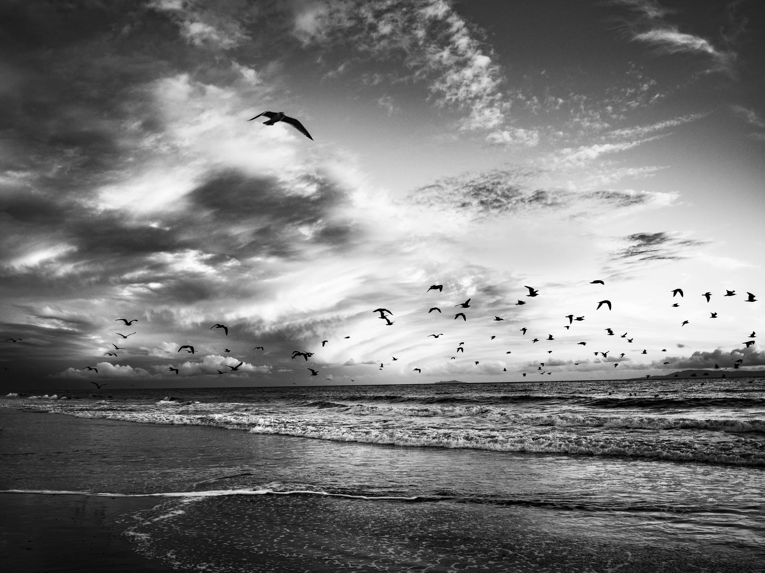 "Along the Tide" Carpinteria