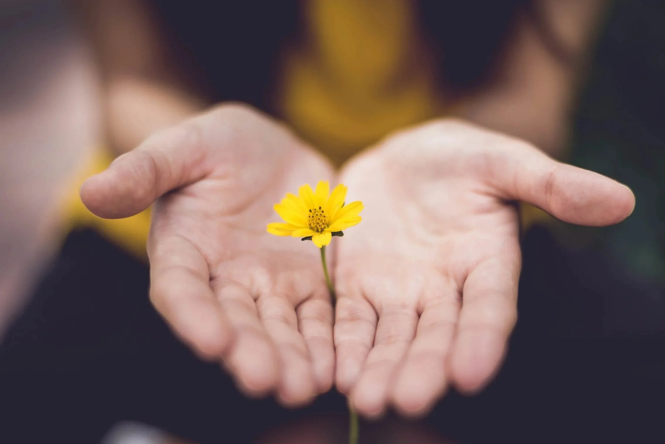 Mentorship with Lua Zawacki