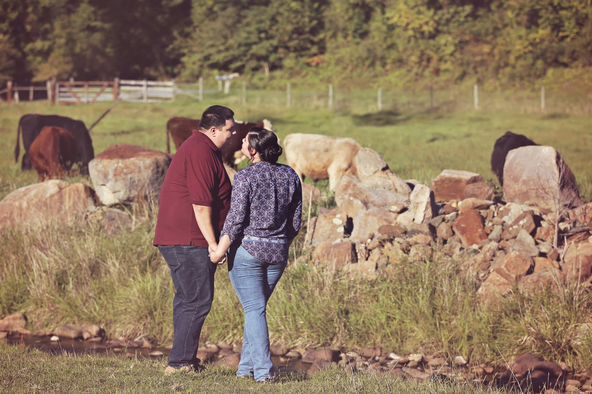 A man and woman stand close together holding hands in a field, facing each other, with cows grazing and resting behind them. The setting appears rural and peaceful.