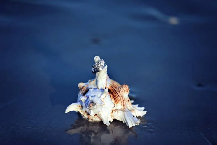 A seashell with a small ring on top, placed on a sandy surface at the beach.