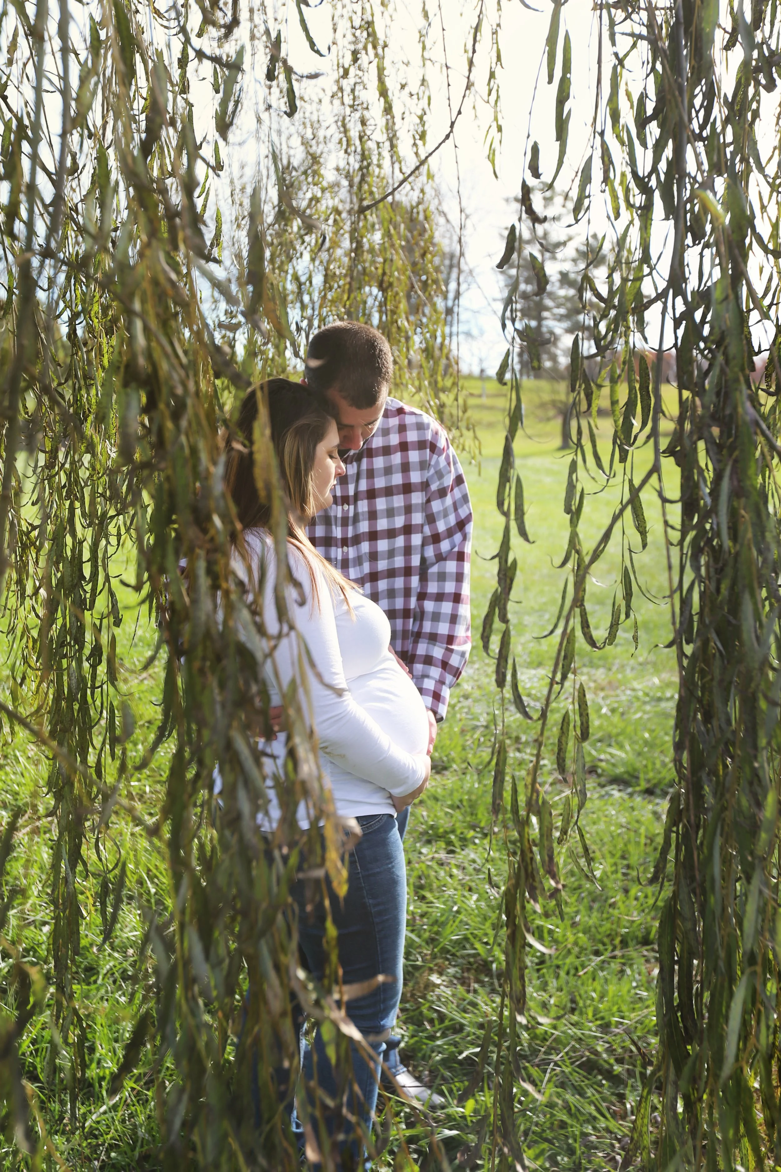 A pregnant woman and a man stand close together outdoors in a green field, looking at her belly through hanging branches of a tree.