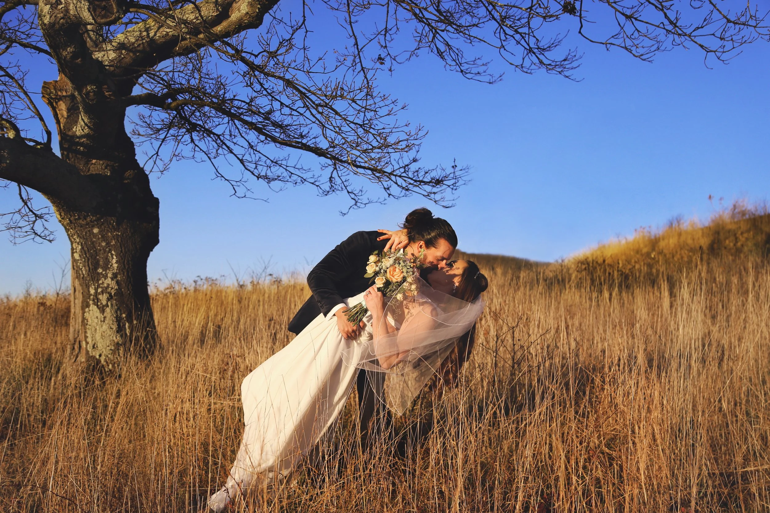 A bride and groom sharing a kiss in a grassy field with a large tree and a clear blue sky in the background.