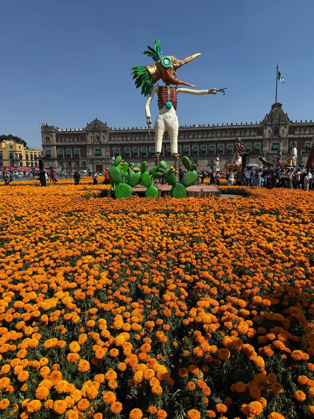 WhatsApp Image 2025-11-05 at 12.12.05 PM.jpeg