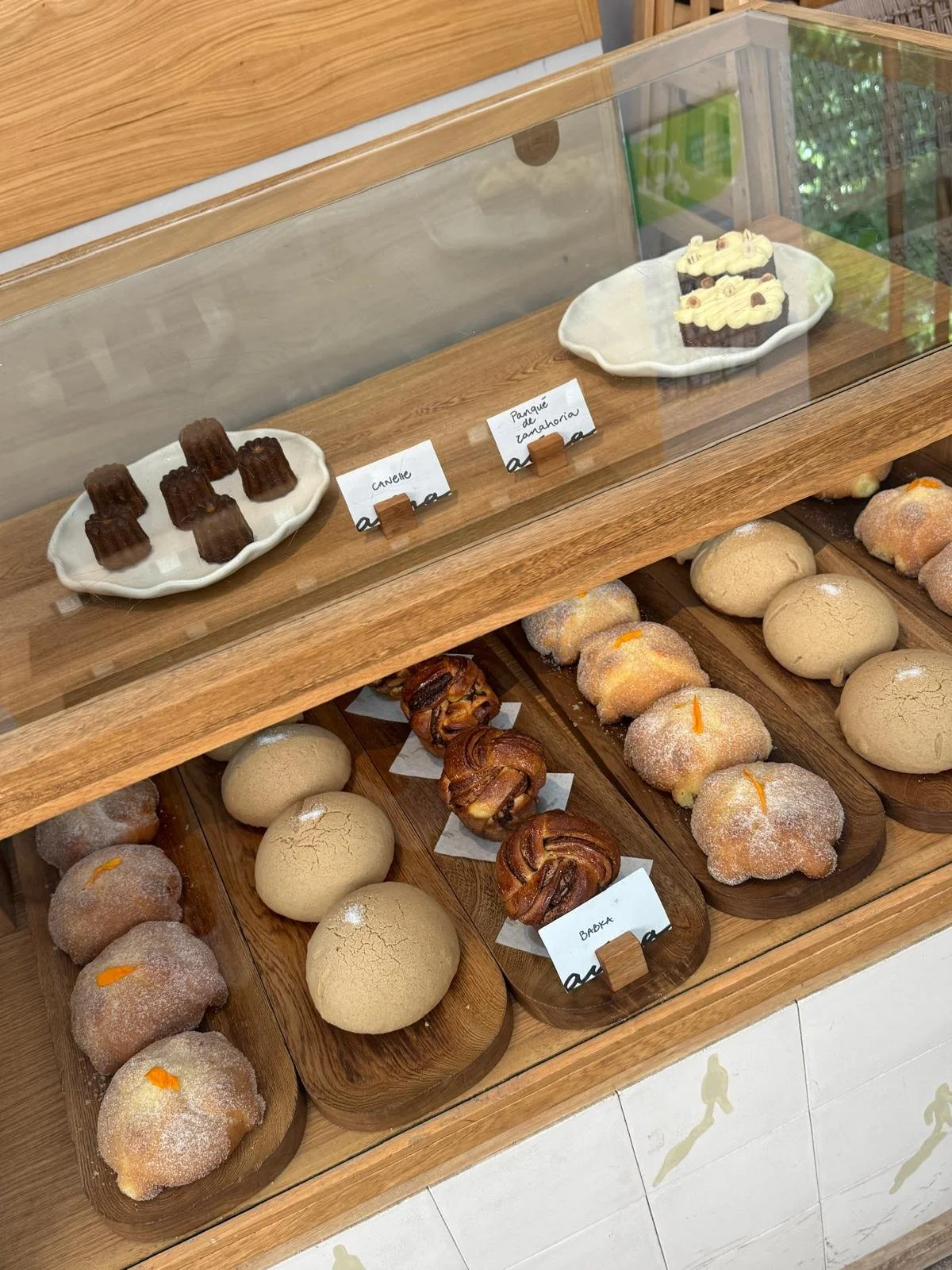 WhatsApp Image 2025-11-05 at 12.02.22 PM.jpeg