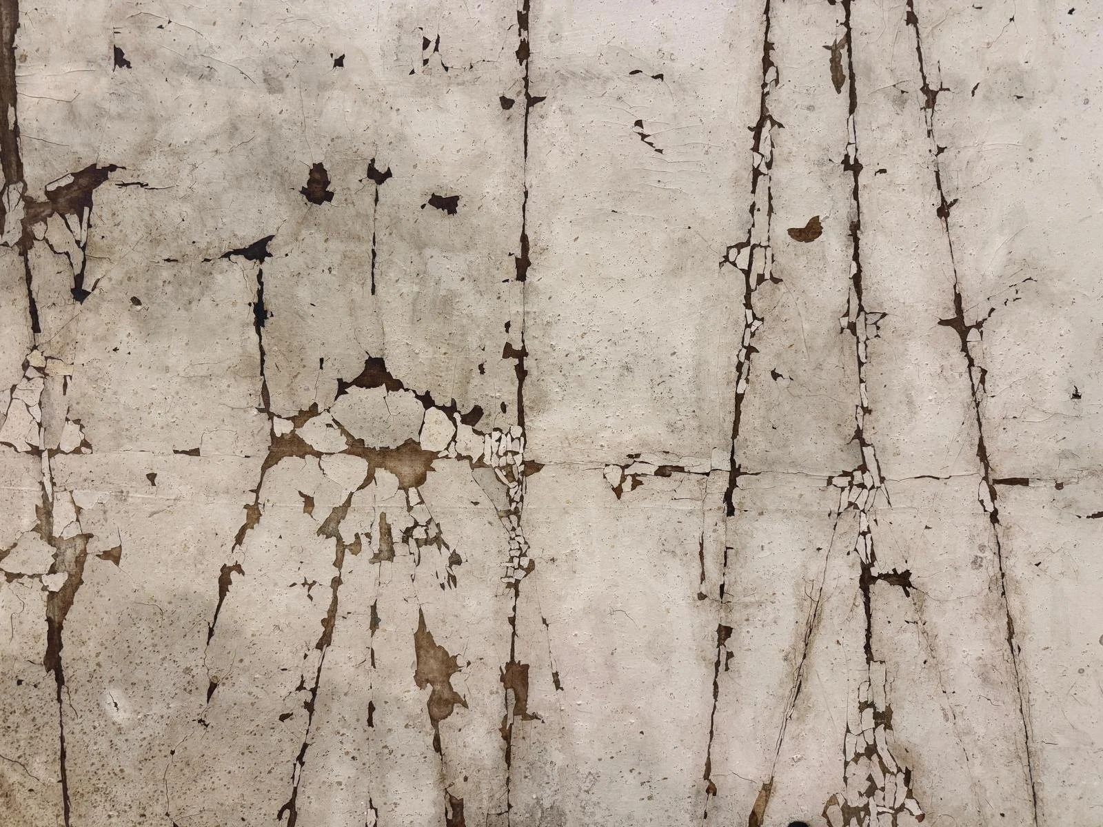 WhatsApp Image 2025-11-05 at 12.09.08 PM.jpeg