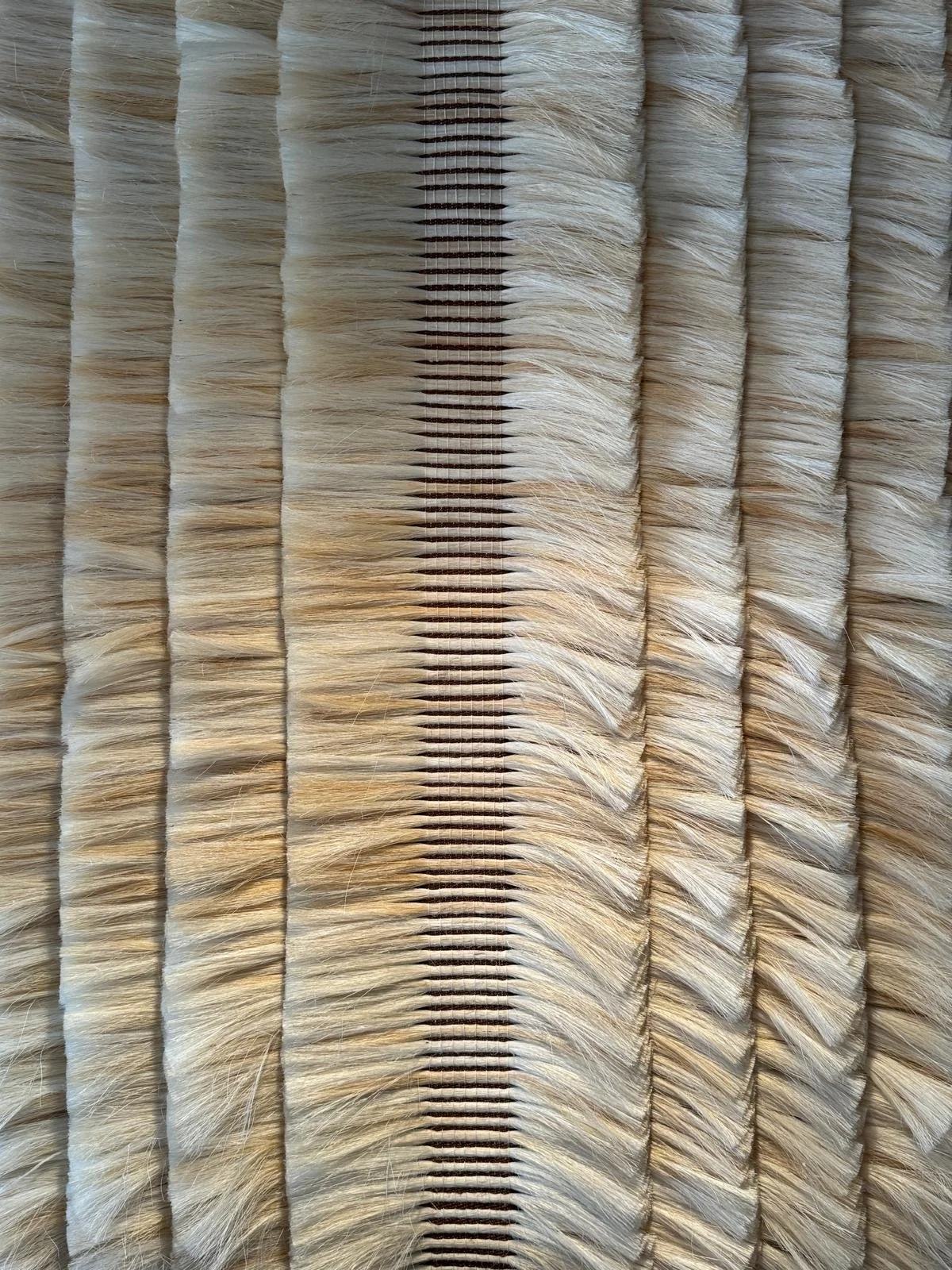 WhatsApp Image 2025-11-05 at 12.04.47 PM.jpeg