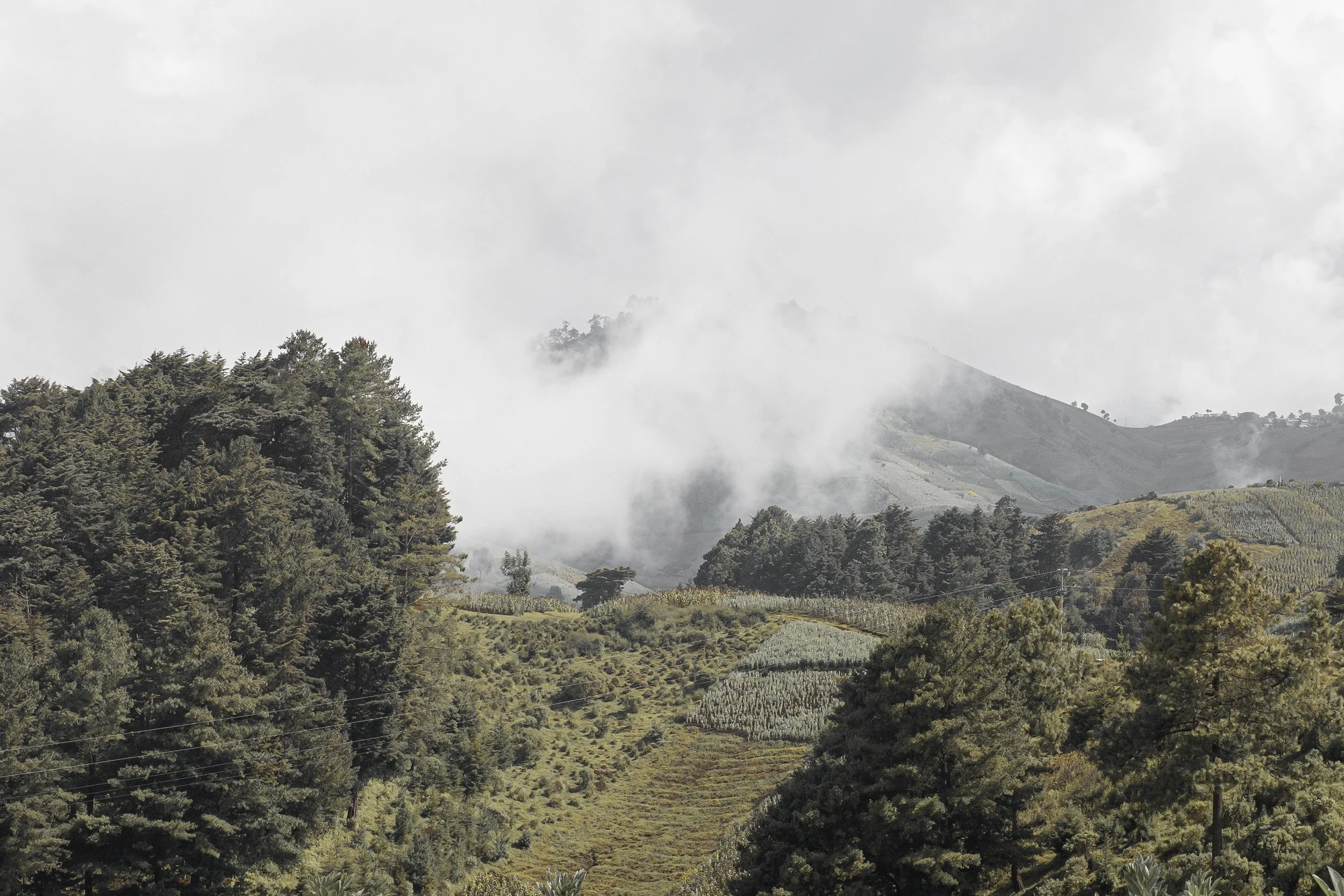 Discovering handwoven textiles in Quetzaletnango with RB Curated