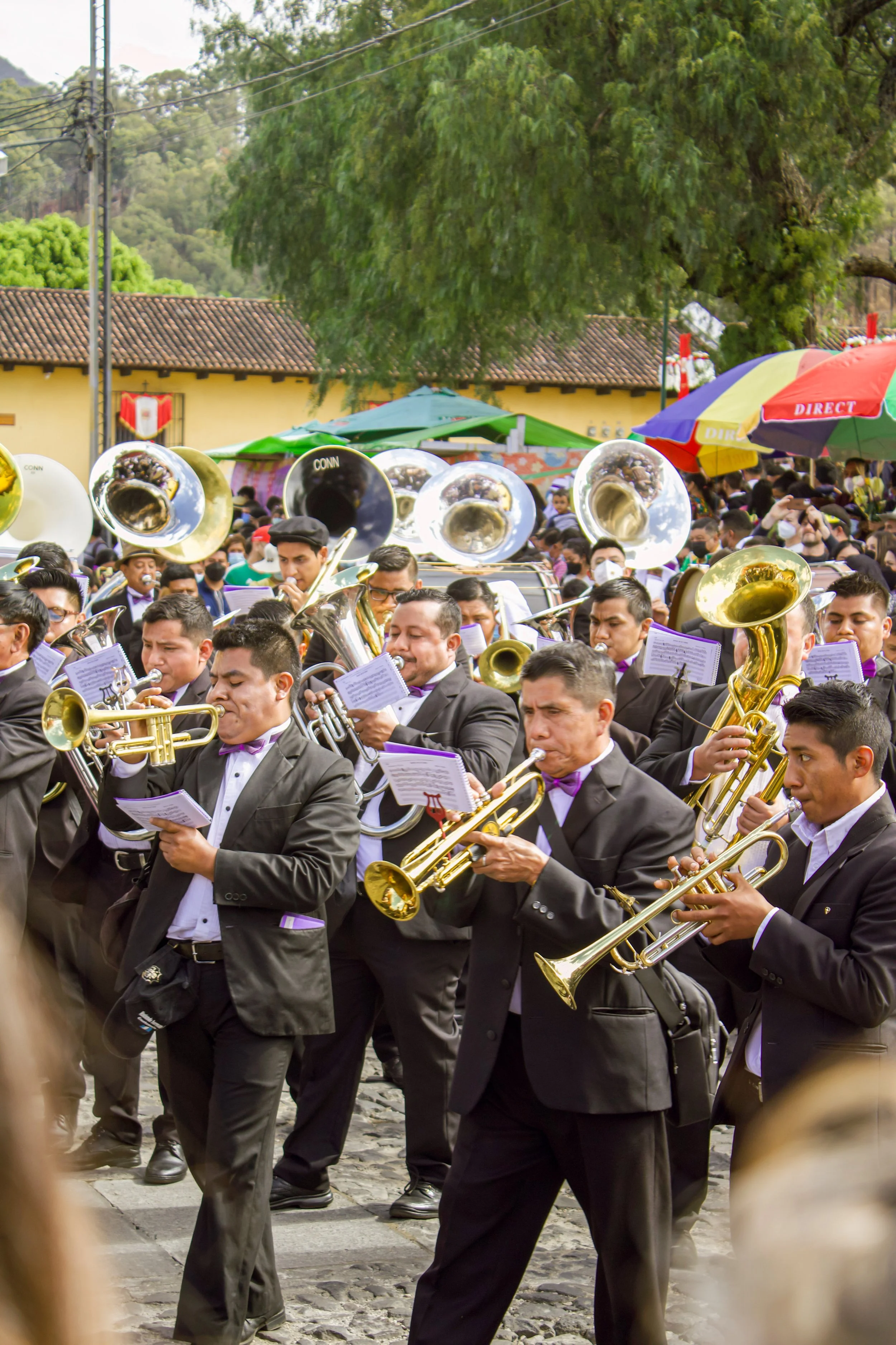 IMG_6965_cr2 (1).jpeg