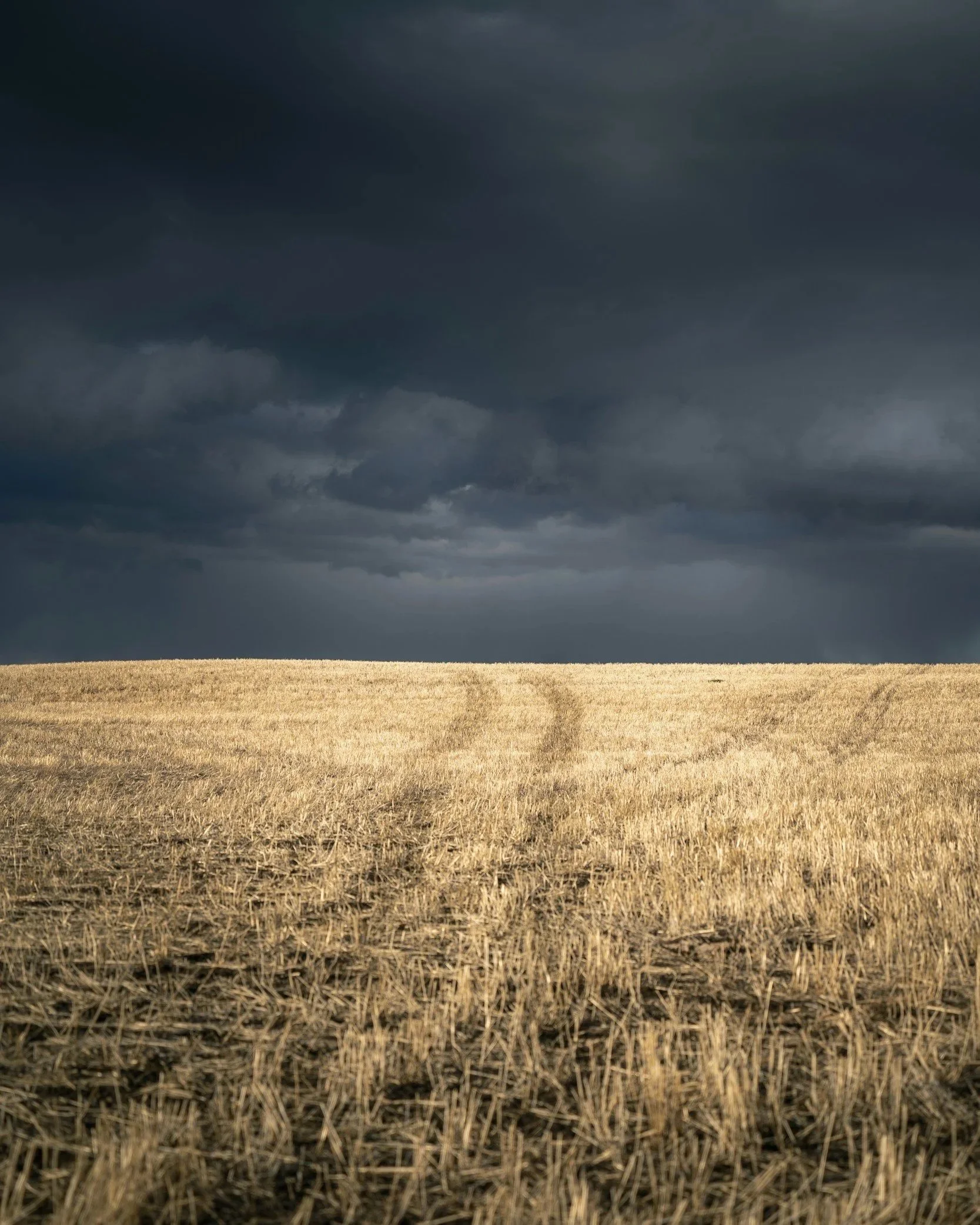 Golden harvested field beneath dark, dramatic storm clouds