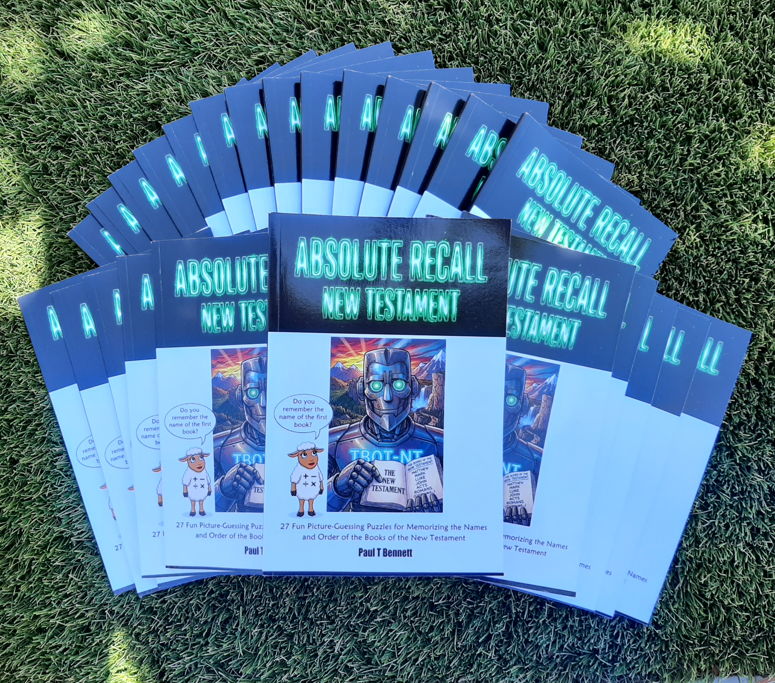 25‑Pack: Absolute Recall New Testament (Picture Puzzle Book)