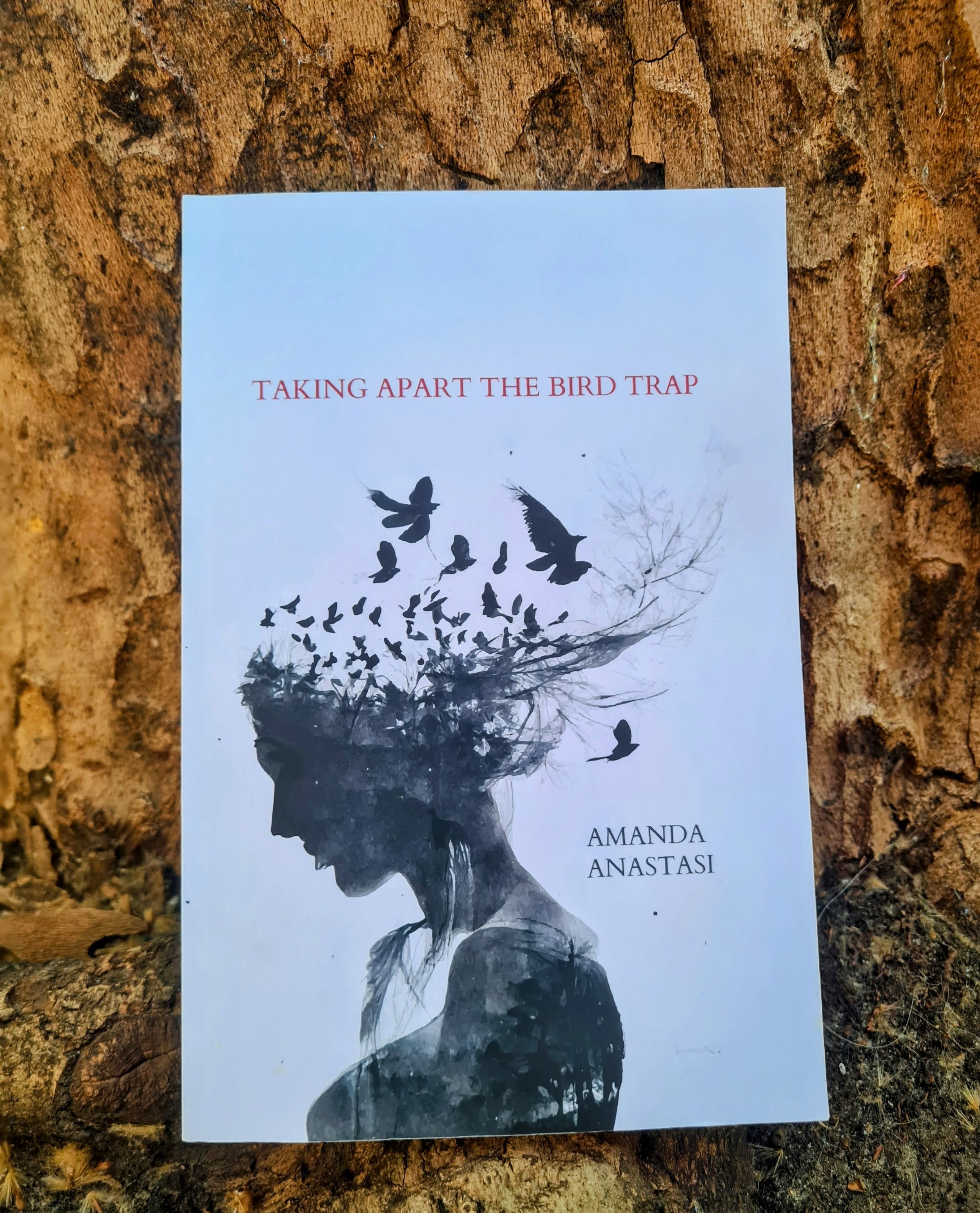 A Conversation with Poet Amanda Anastasi