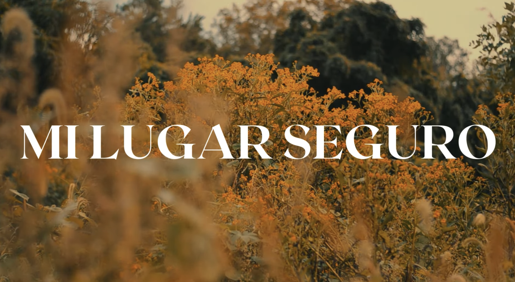 Screenshot 2025-10-27 at 4.52.55 PM.png