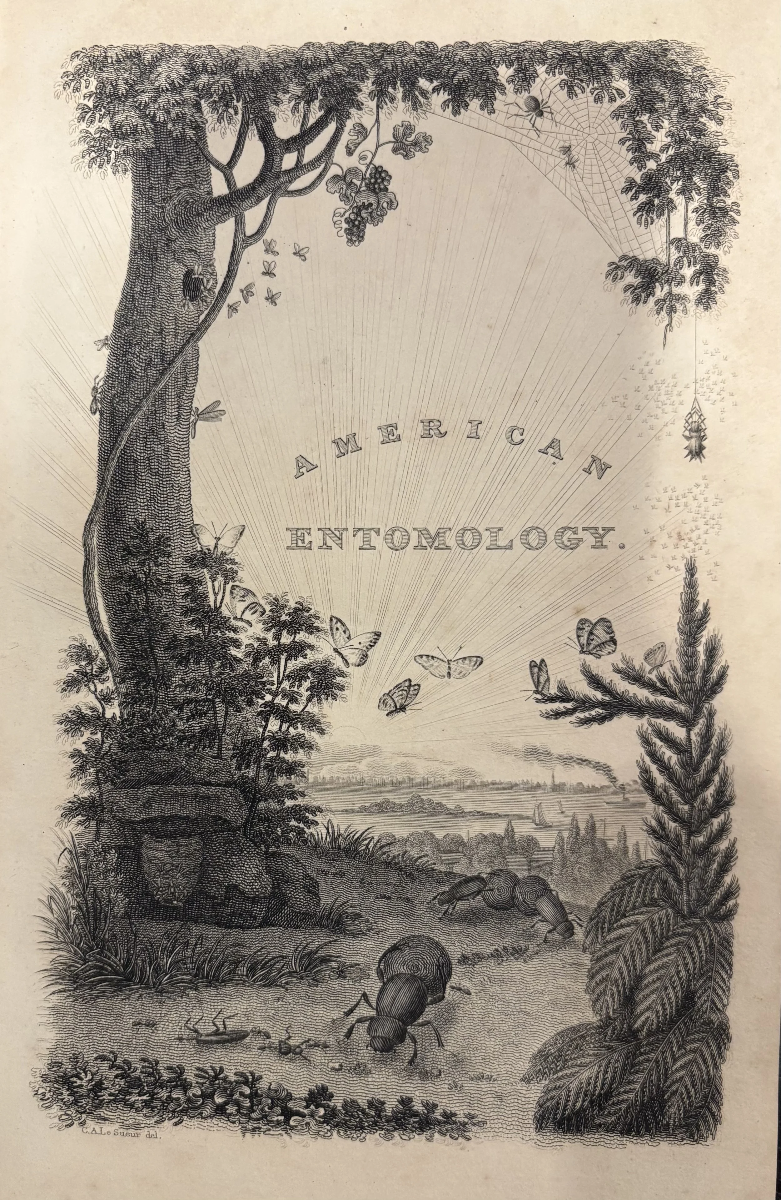 Behind the Bookcase Tour | Every Living Thing | In-Person