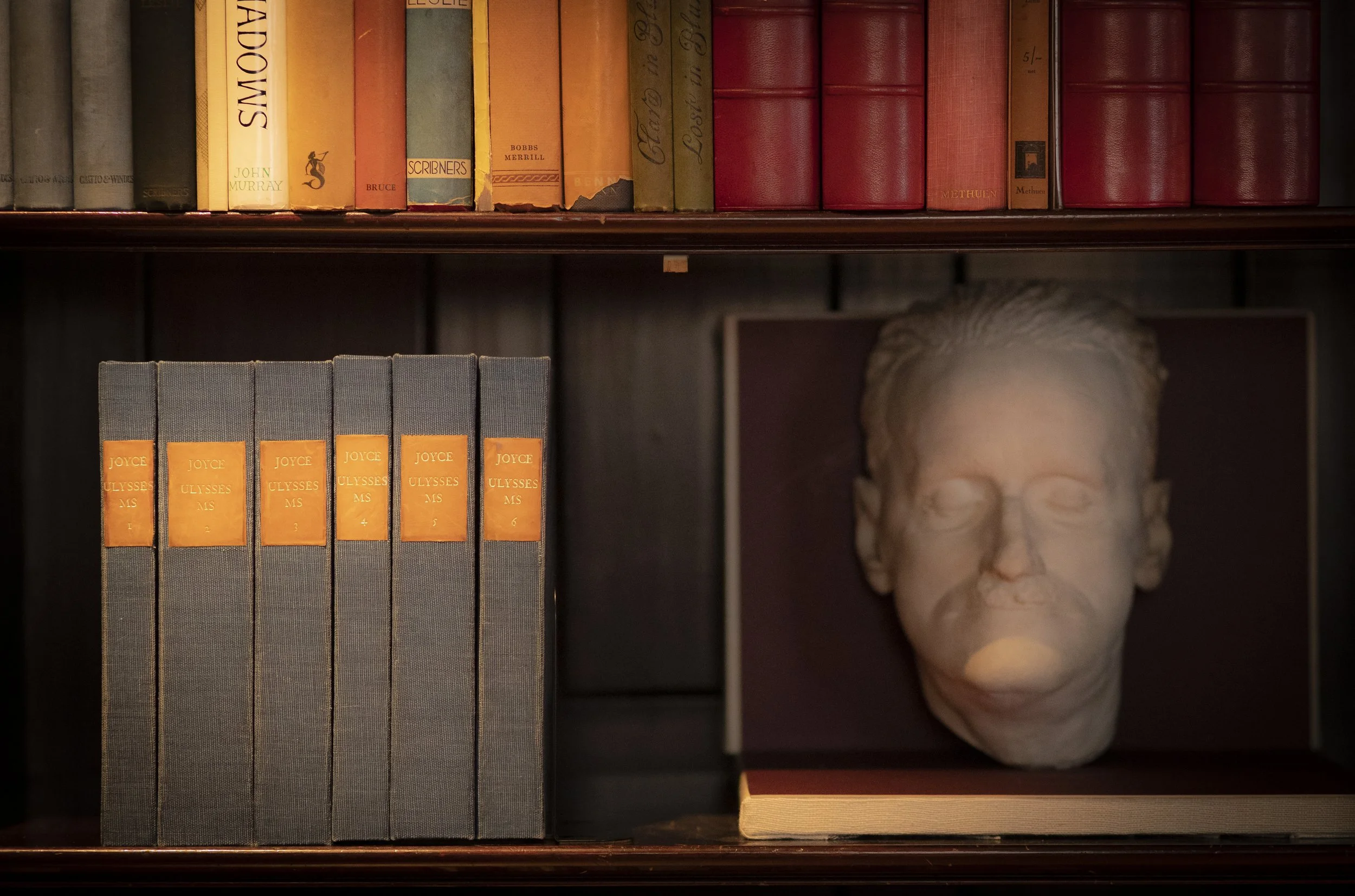 Behind the Bookcase Tour | Written in My Heart: James Joyce and Irish Authors | In-Person