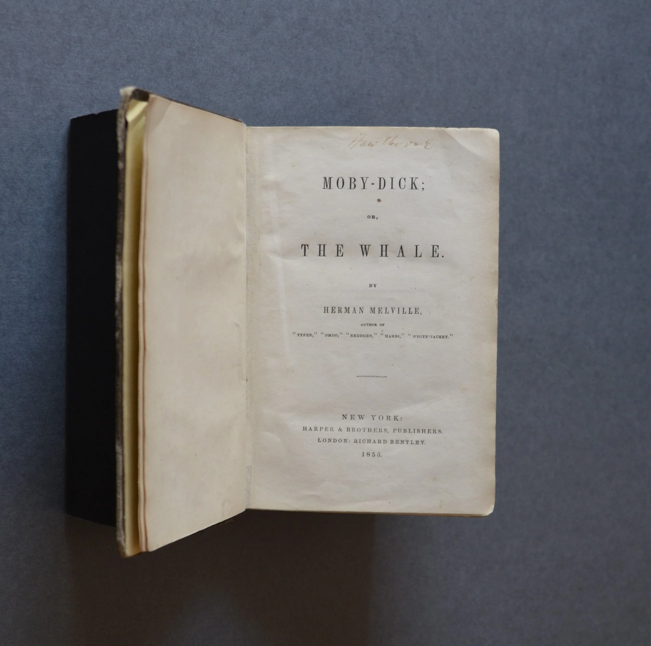 Behind the Bookcase | A Warm Heart and a Cold Eye: The Legacy of Herman Melville | In-Person